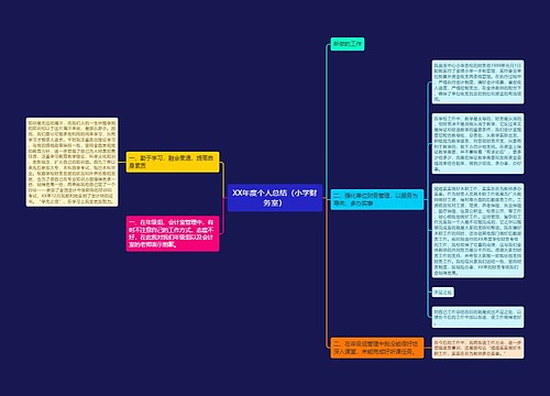 XX年度个人总结（小学财务室）