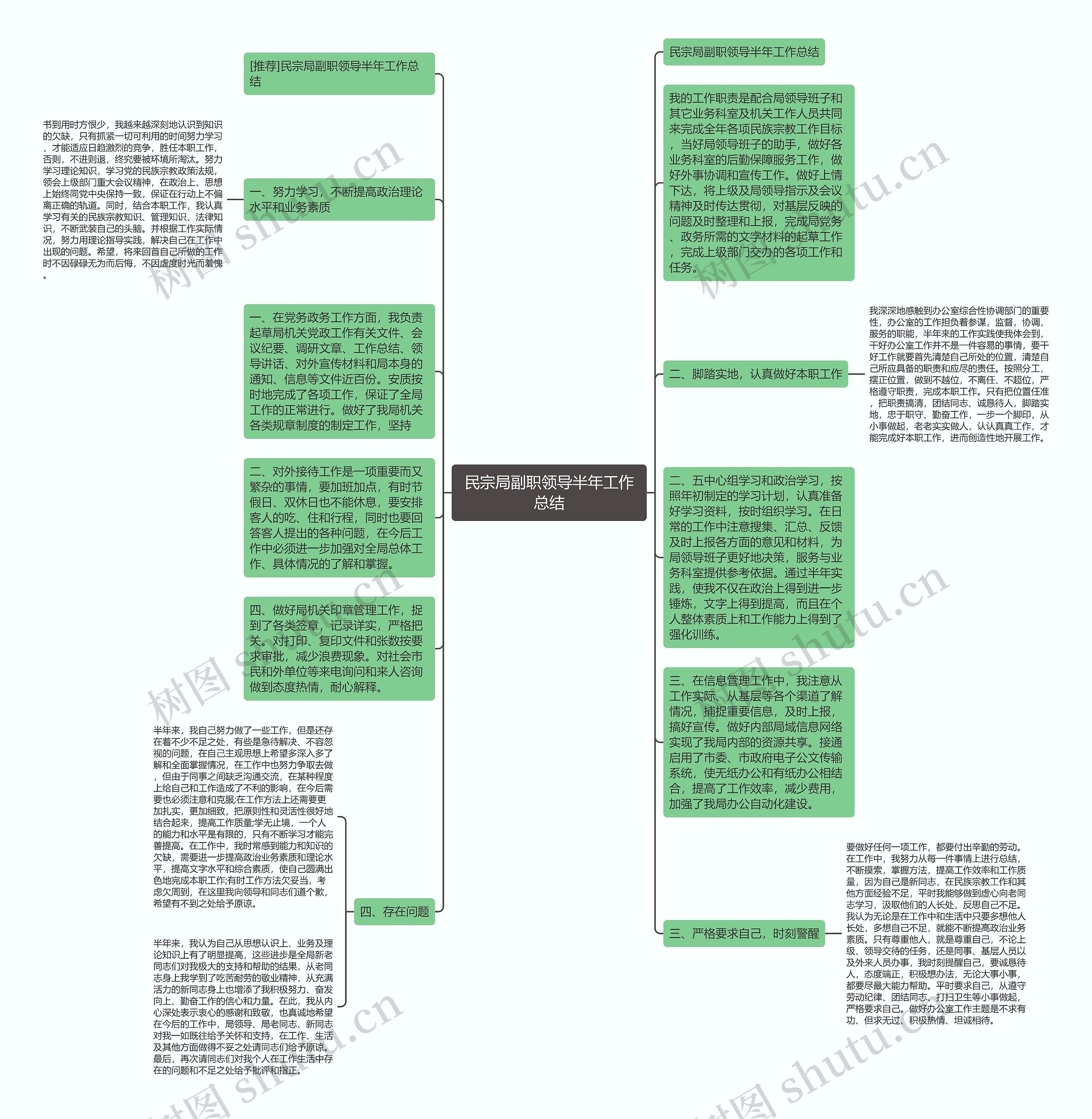 民宗局副职领导半年工作总结思维导图