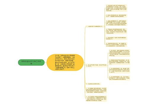 财务总监办2012年工作总结