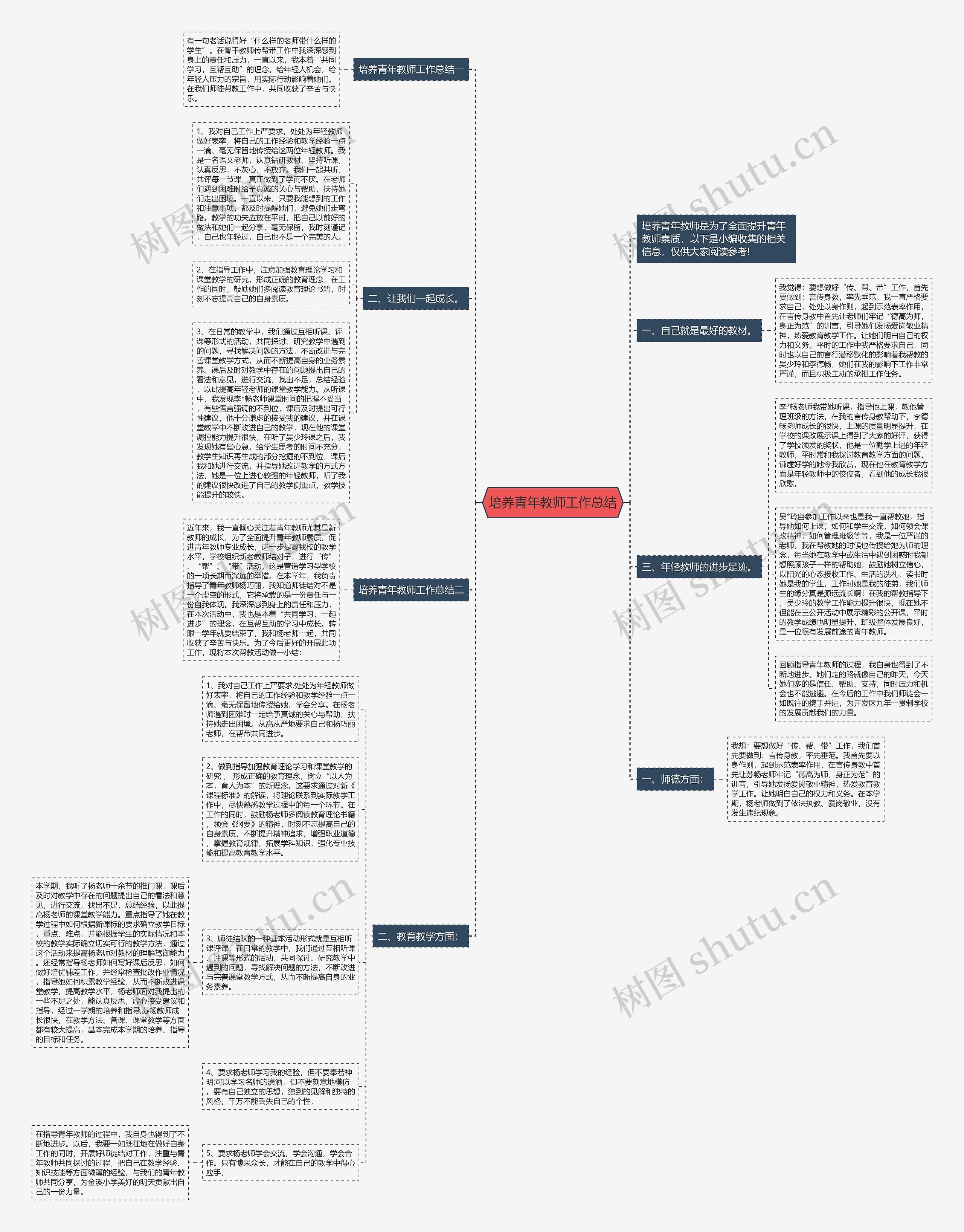 培养青年教师工作总结思维导图