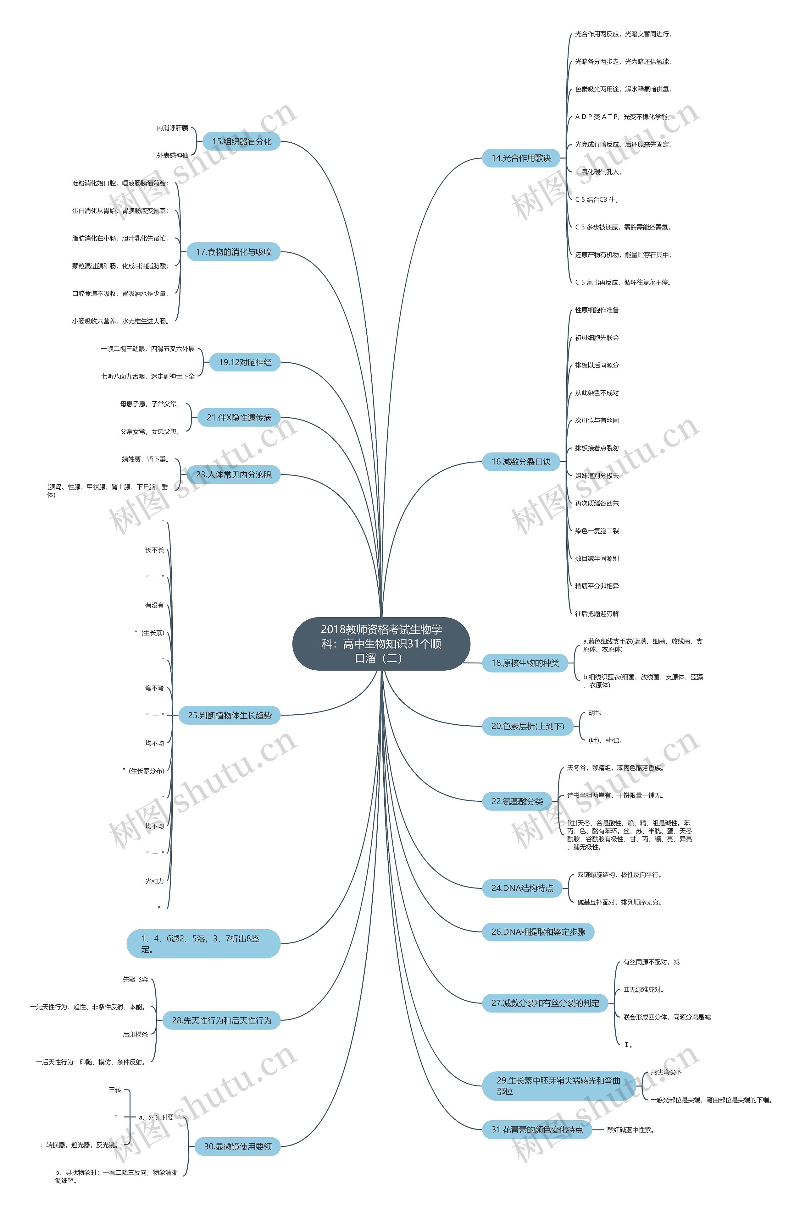 2018教师资格考试生物学科：高中生物知识31个顺口溜（二）思维导图