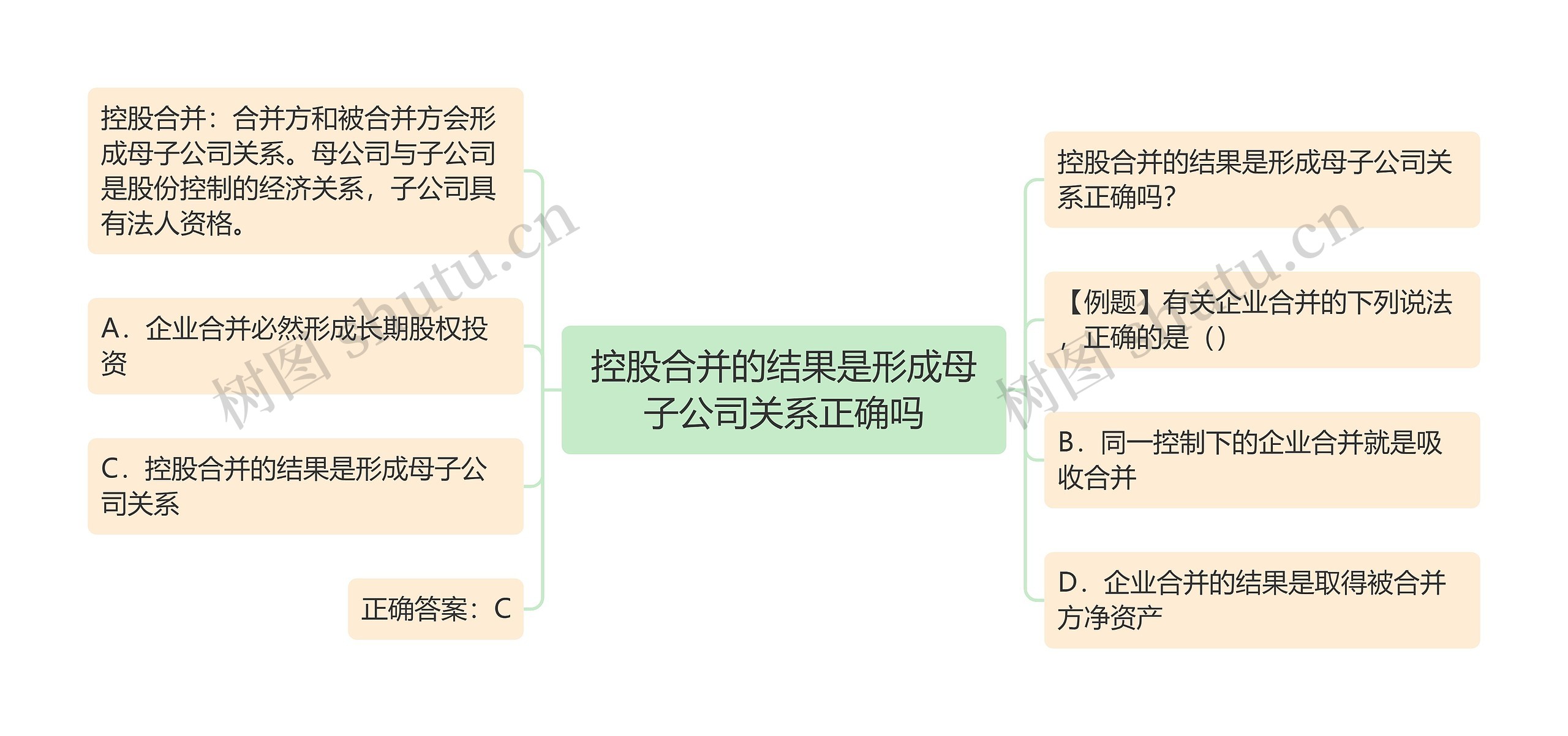 控股合并的结果是形成母子公司关系正确吗思维导图