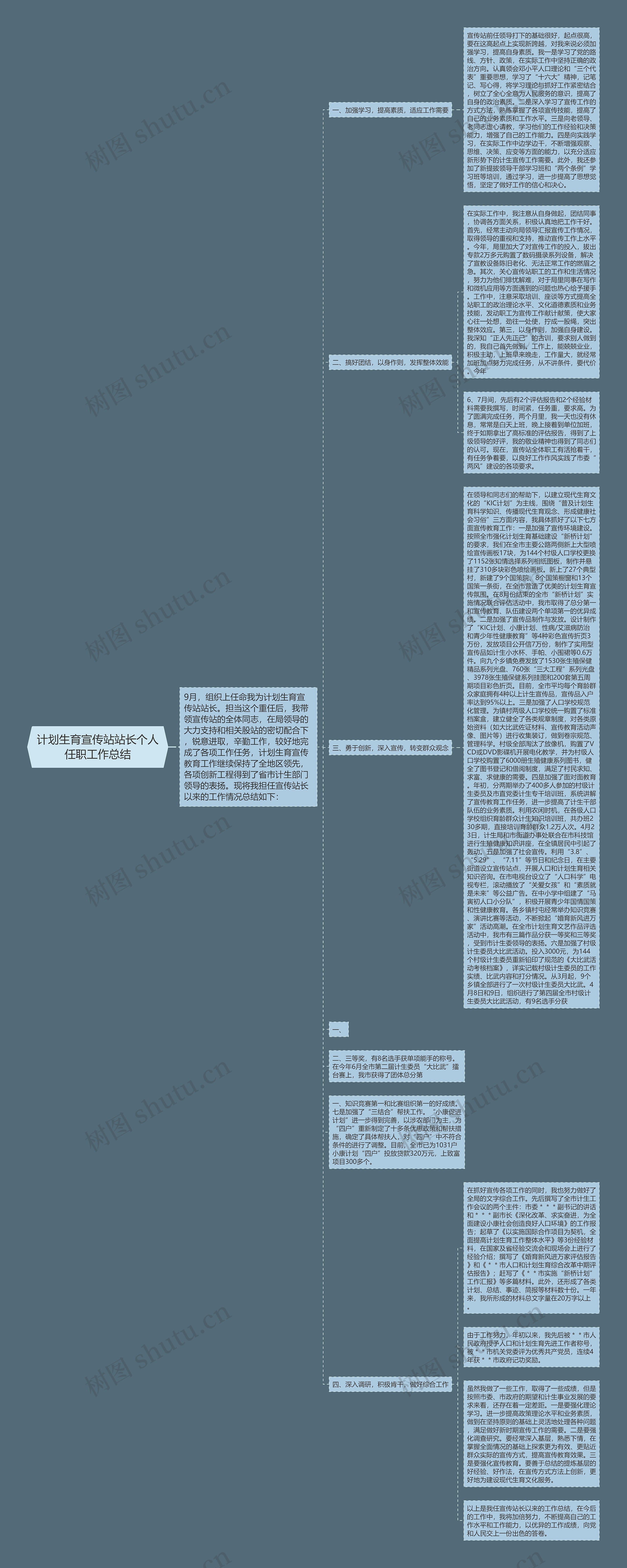 计划生育宣传站站长个人任职工作总结思维导图