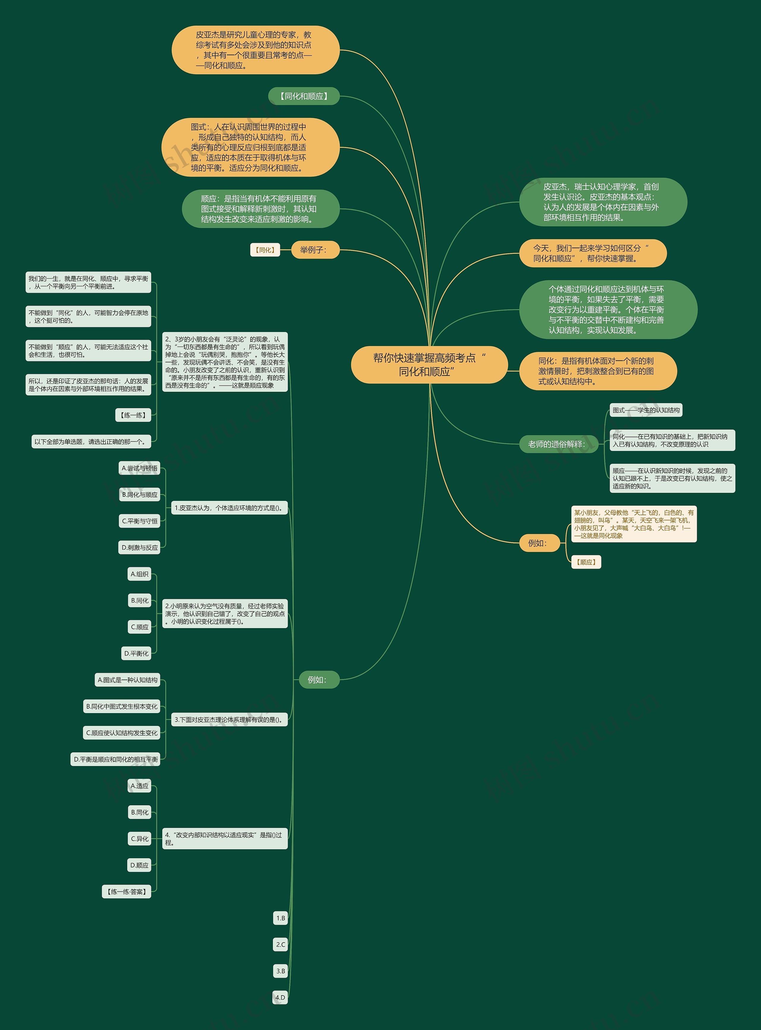 帮你快速掌握高频考点“同化和顺应”思维导图
