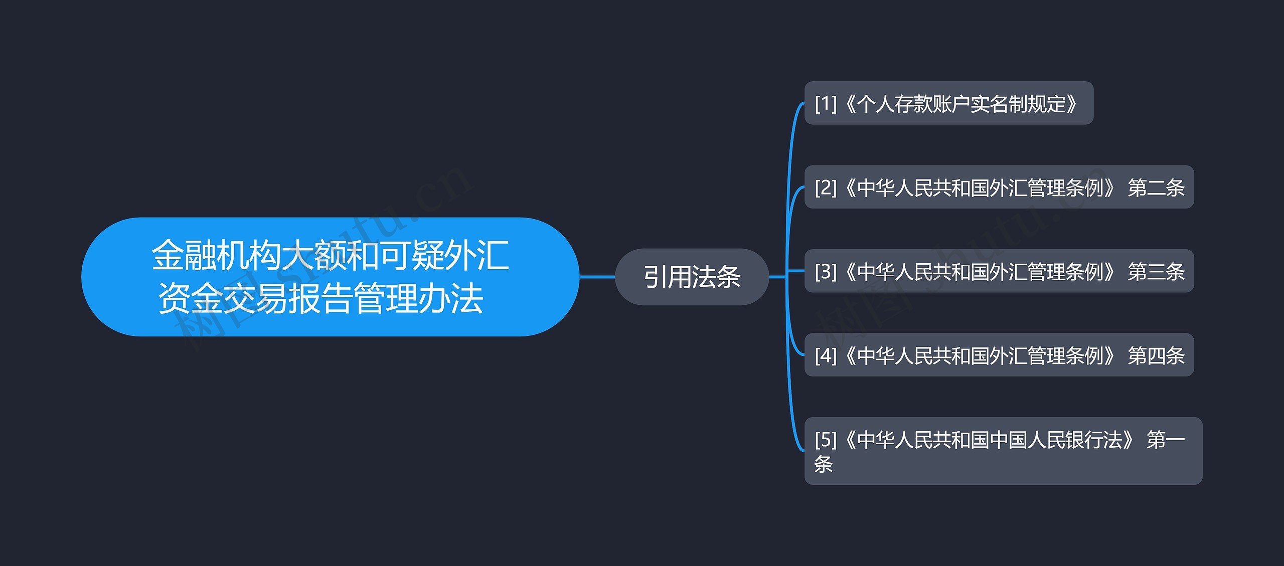 金融机构大额和可疑外汇资金交易报告管理办法  思维导图