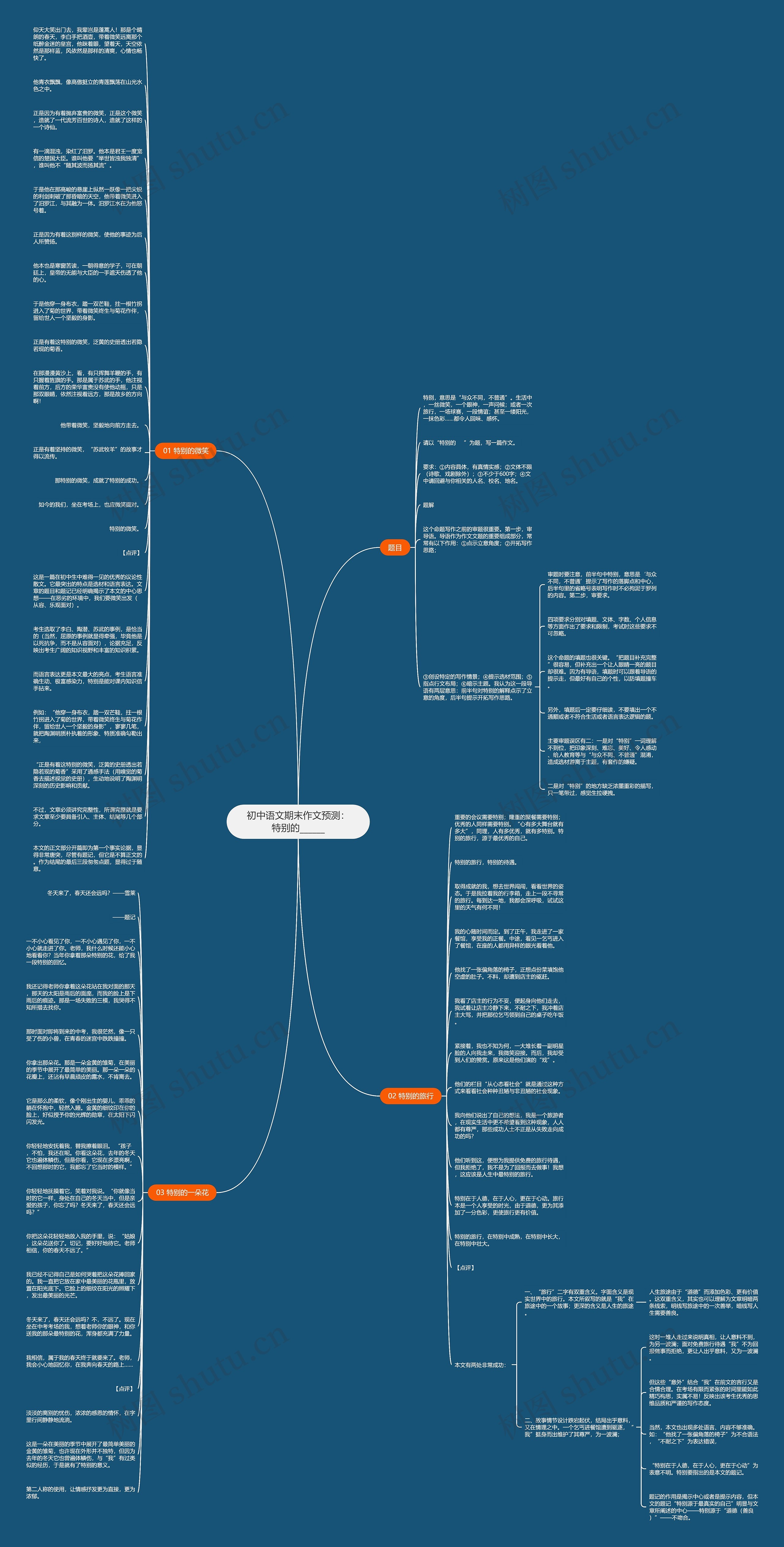 初中语文期末作文预测：特别的______思维导图