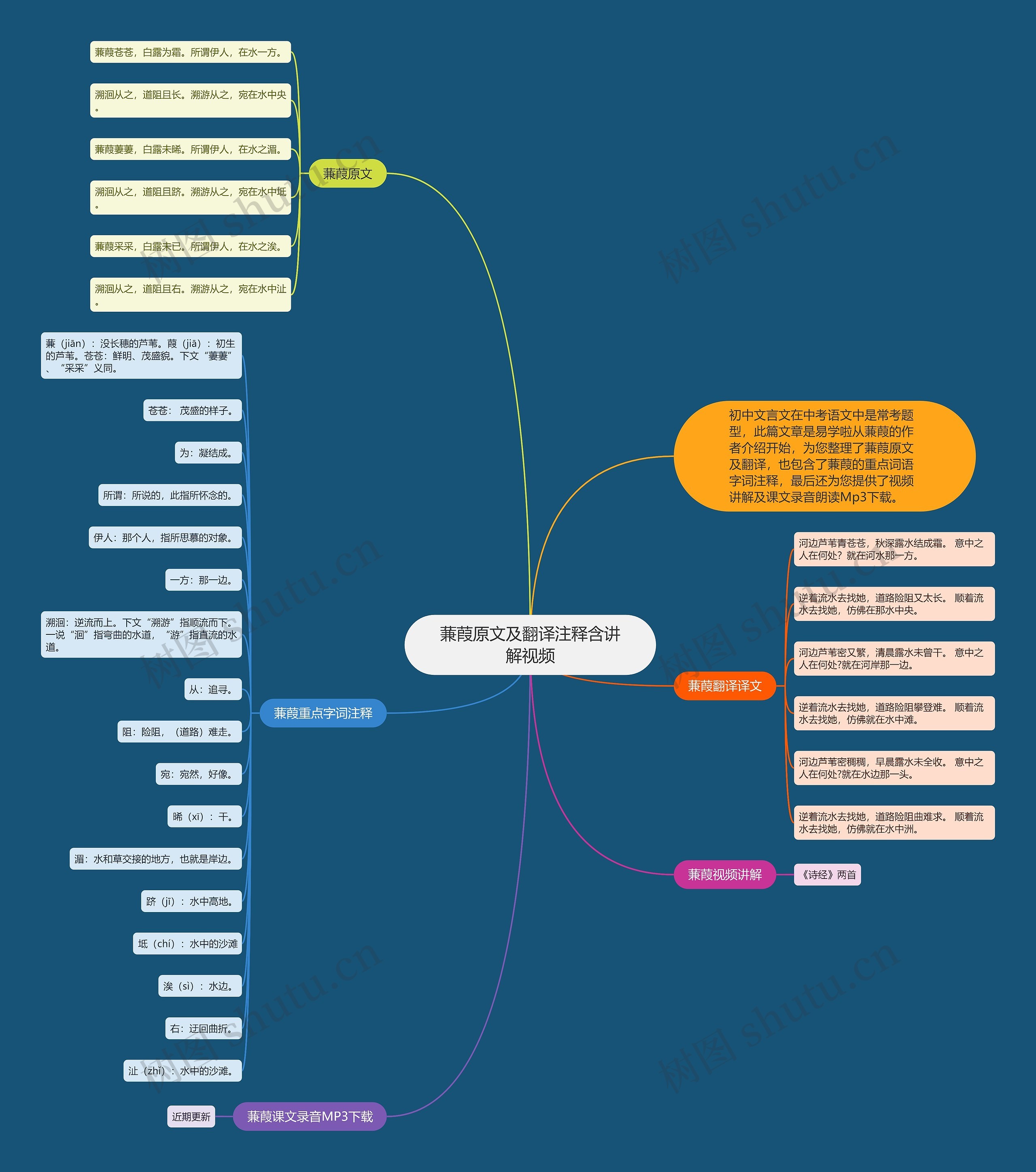 蒹葭原文及翻译注释含讲解视频思维导图