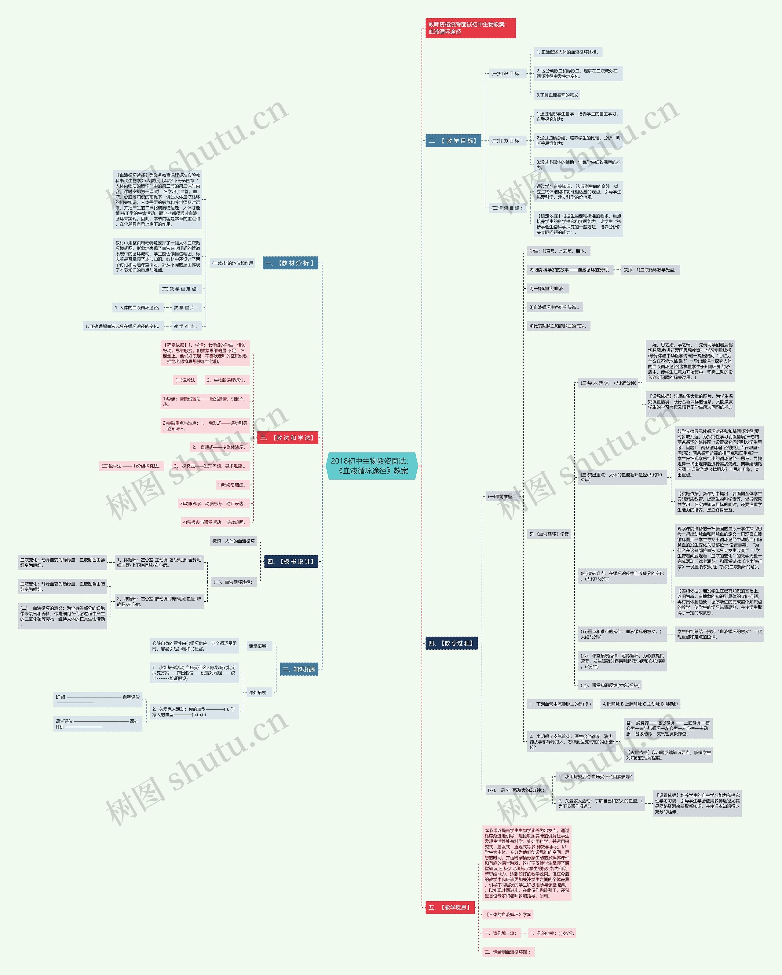 2018初中生物教资面试：《血液循环途径》教案思维导图