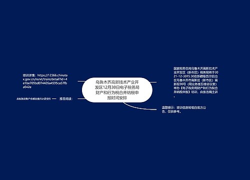 乌鲁木齐高新技术产业开发区12月30日电子税务局财产和行为税合并纳税申报时间安排