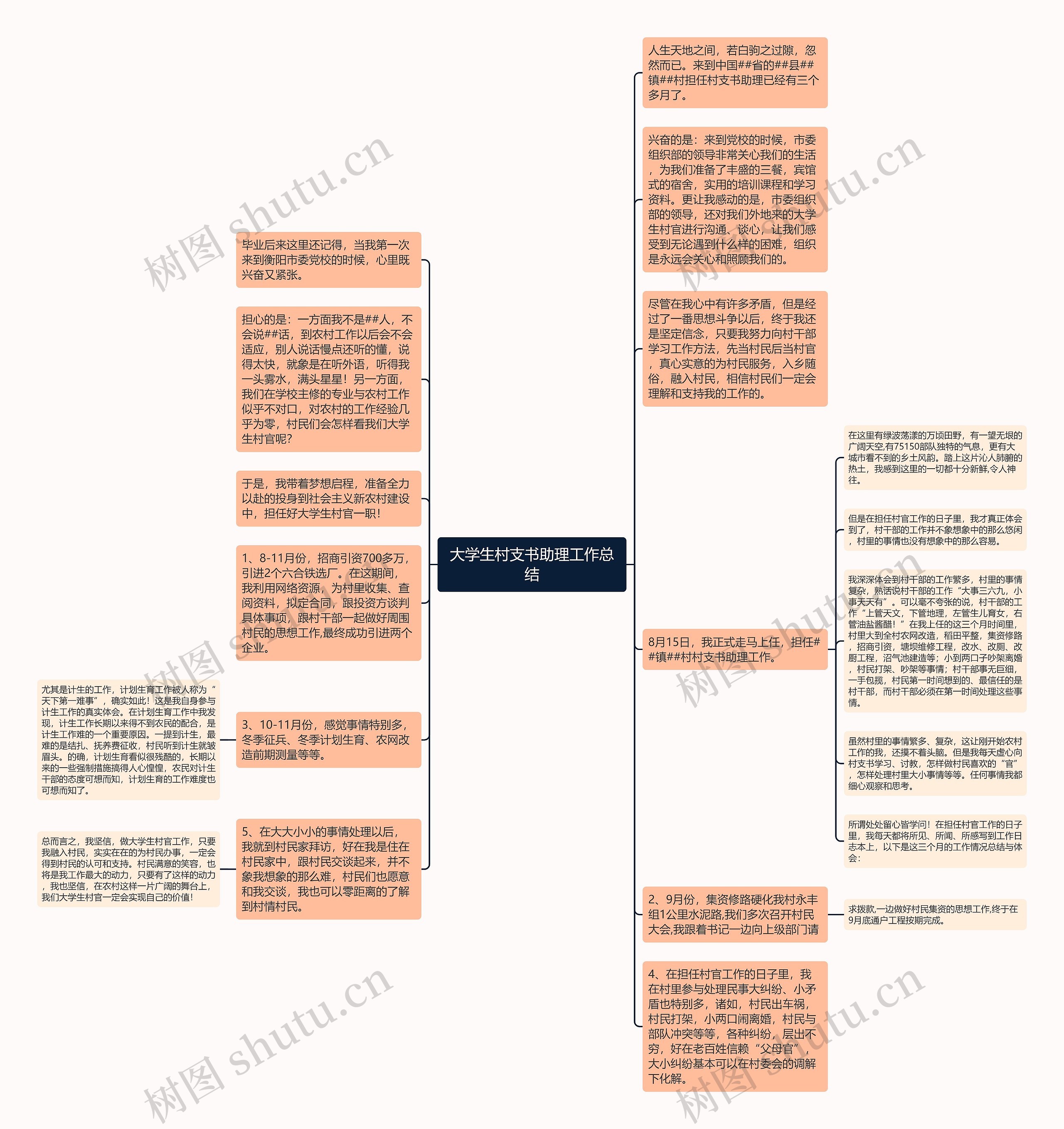 大学生村支书助理工作总结思维导图