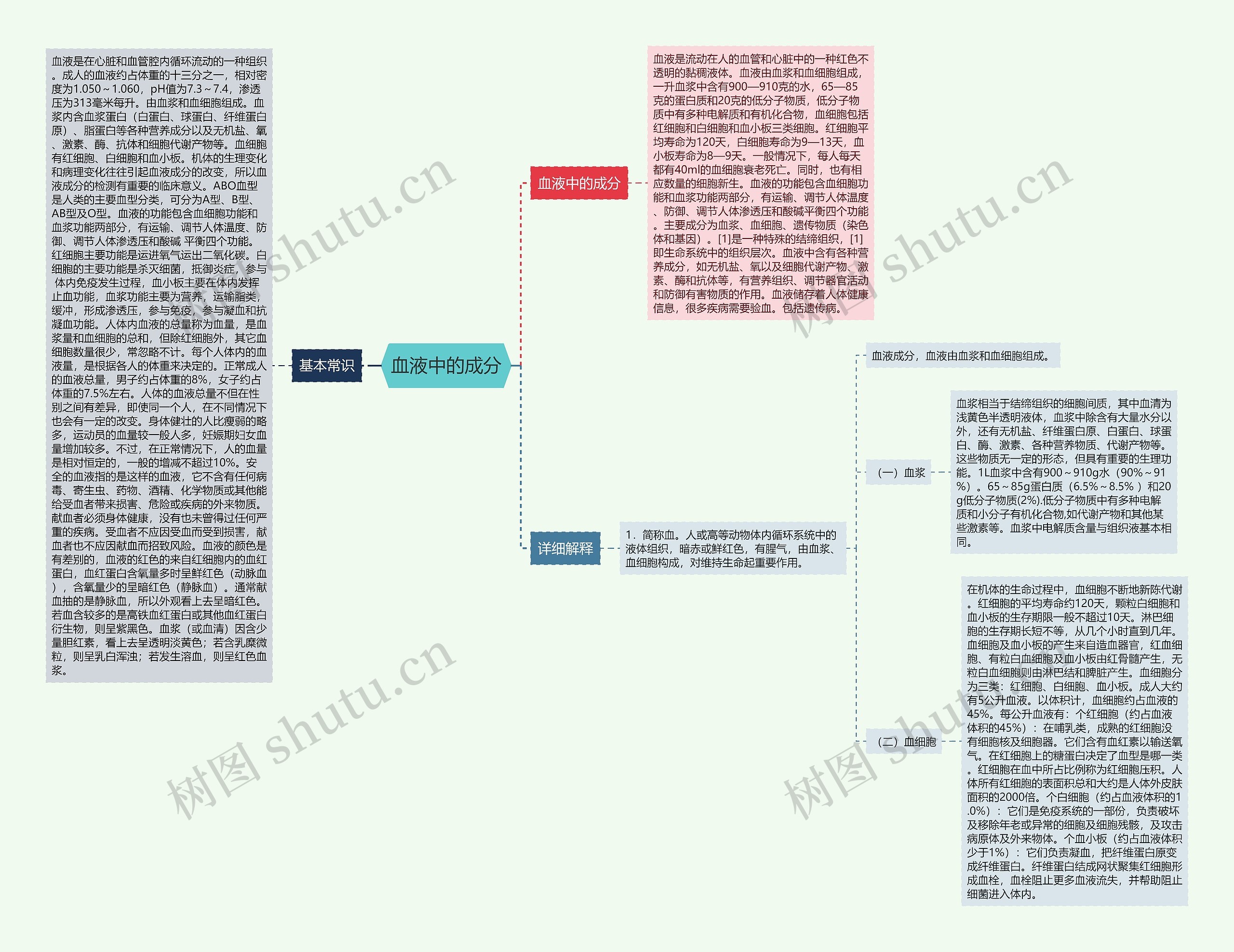 血液中的成分思维导图