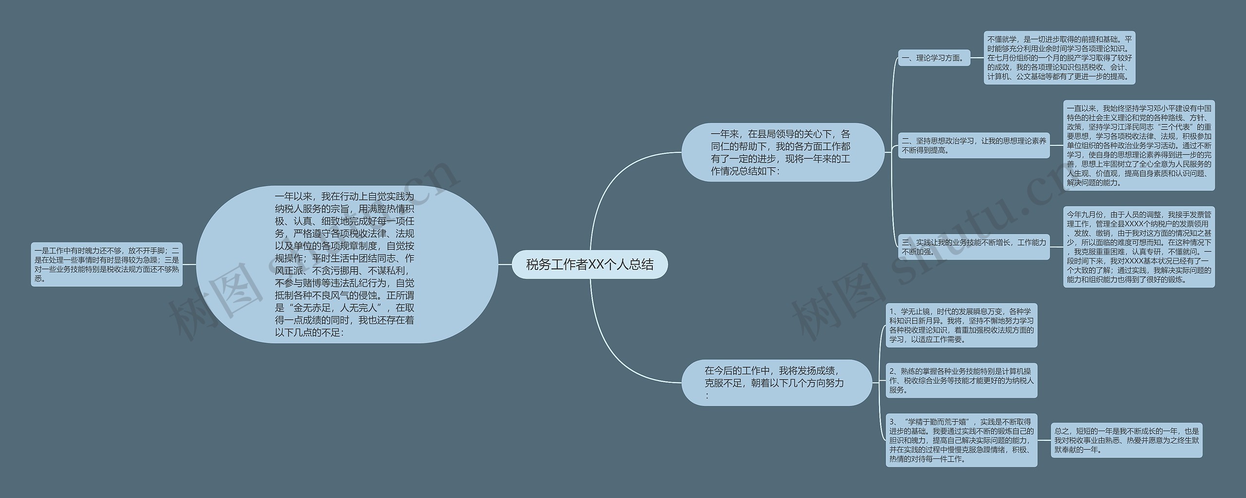 税务工作者XX个人总结