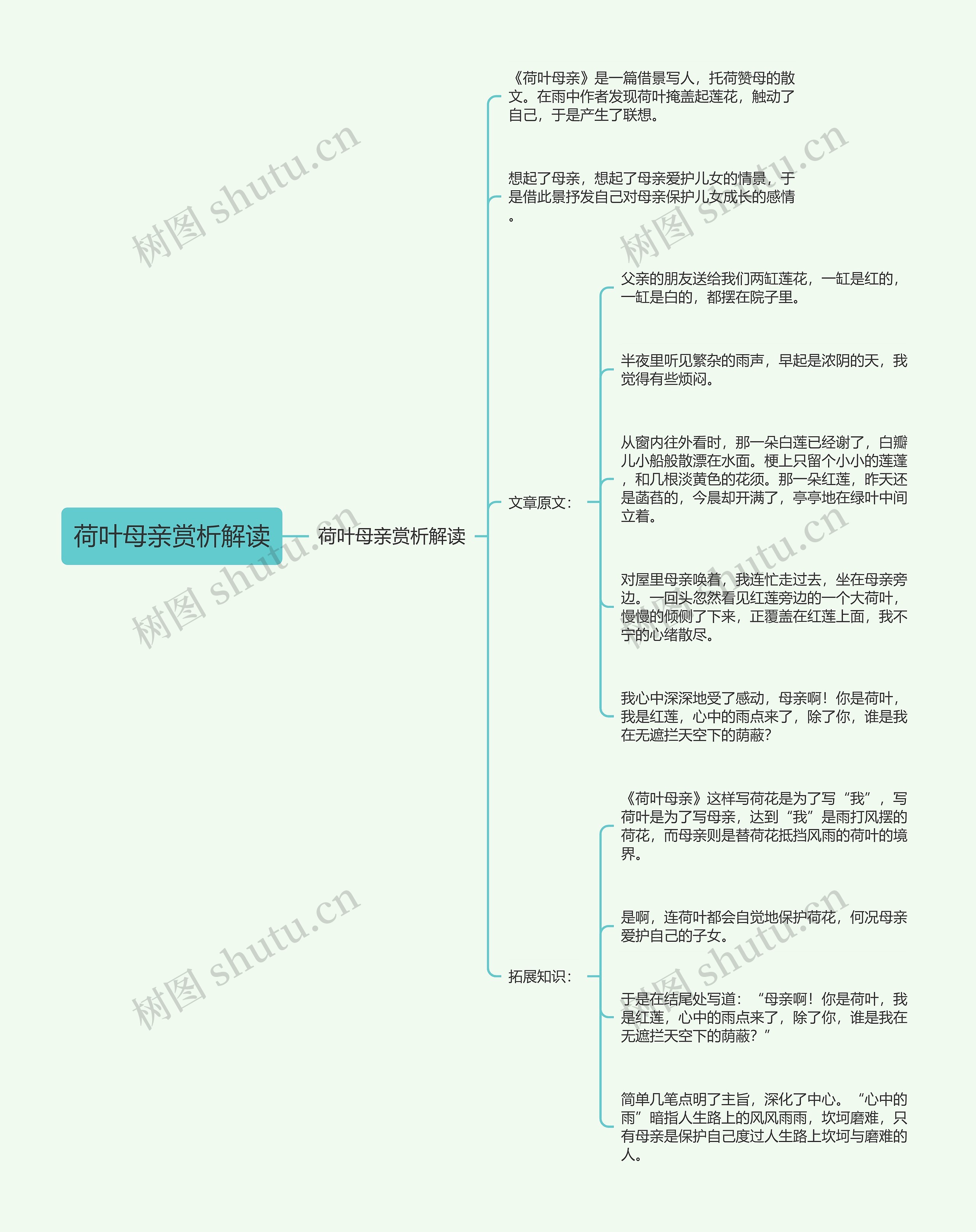 荷叶母亲赏析解读