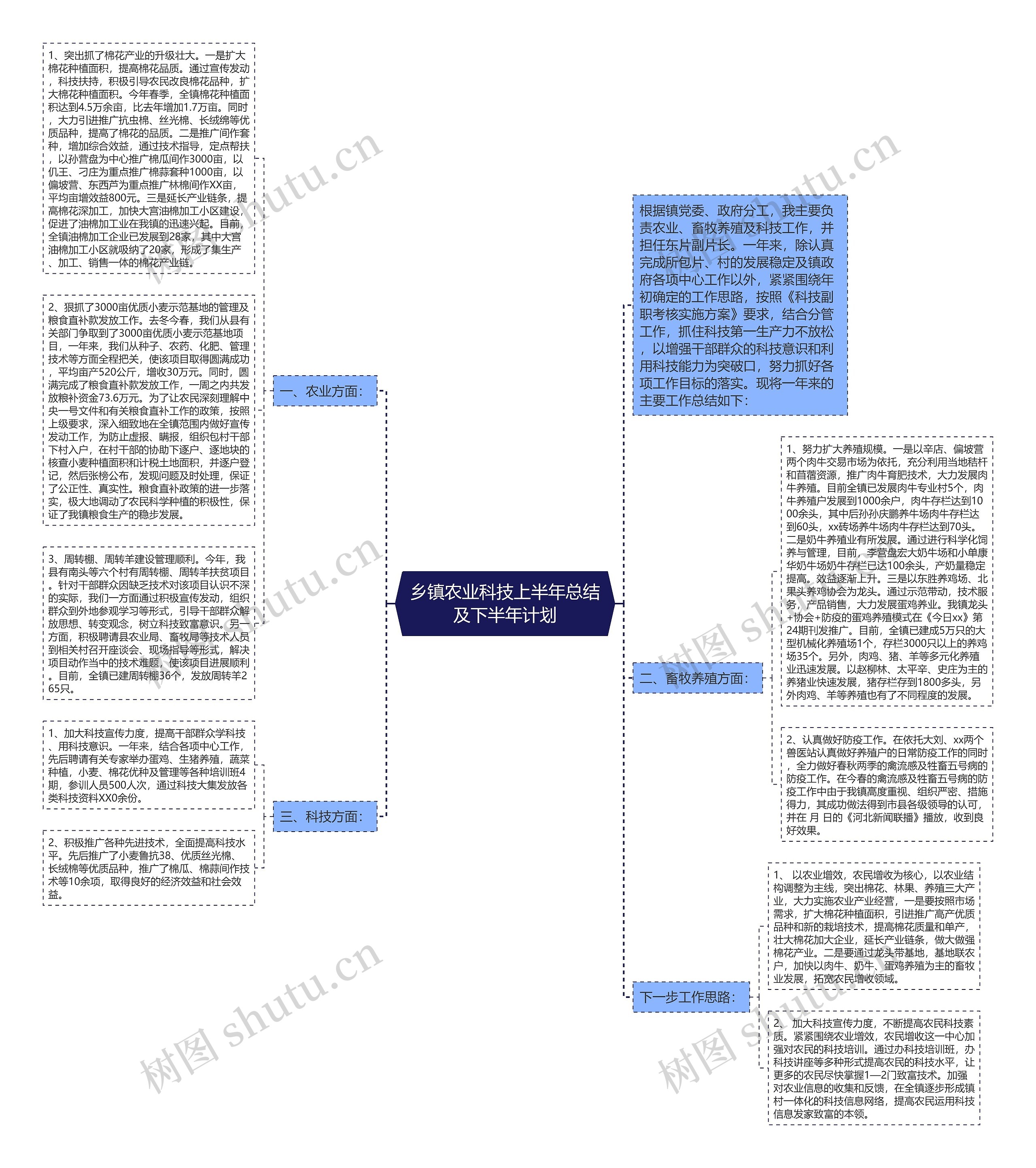 乡镇农业科技上半年总结及下半年计划