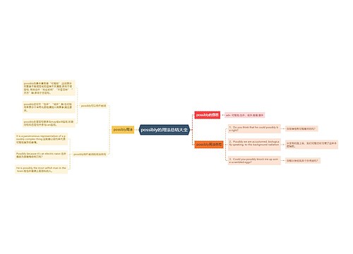 possibly的用法总结大全