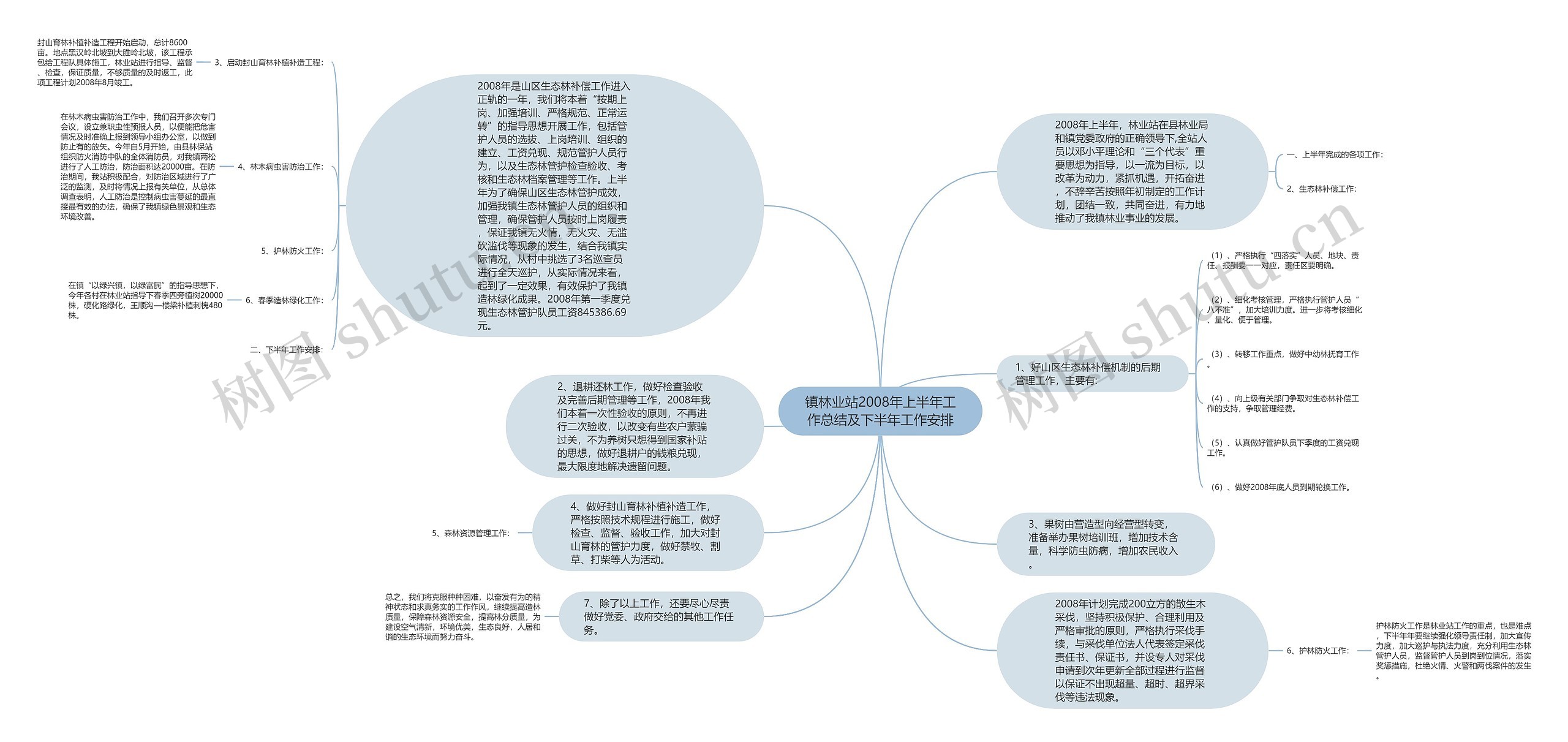 镇林业站2008年上半年工作总结及下半年工作安排思维导图