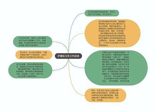 护理实习生工作总结