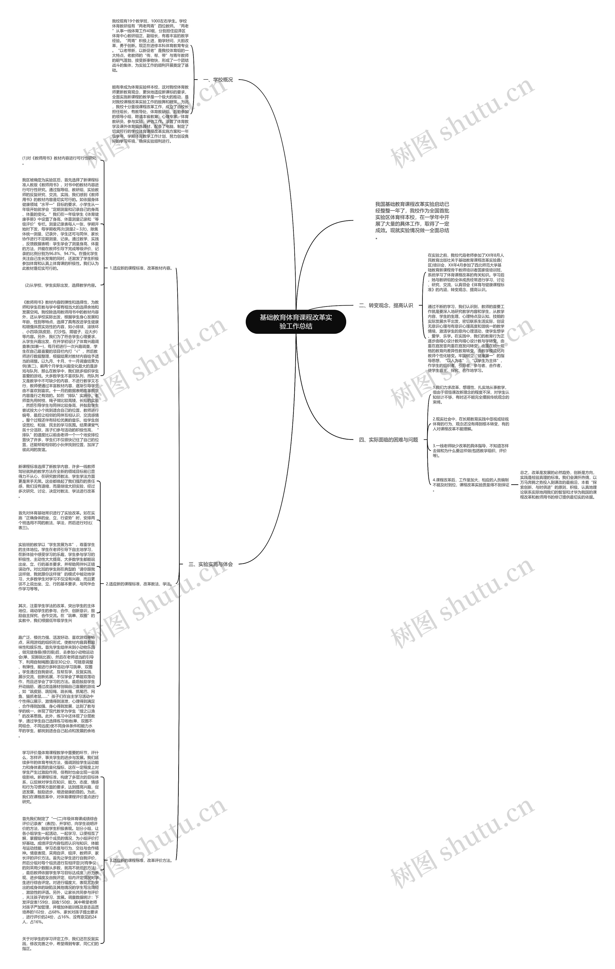 基础教育体育课程改革实验工作总结思维导图