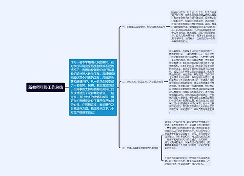 新教师年终工作总结