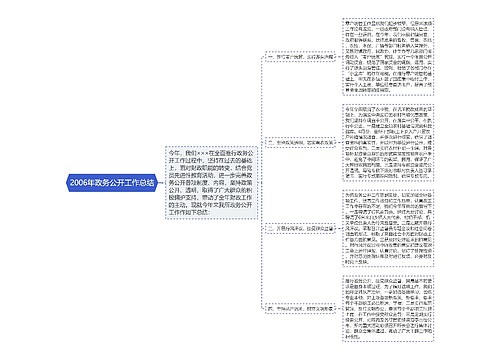 2006年政务公开工作总结