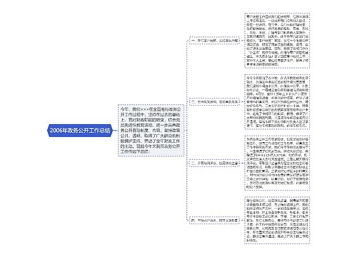 2006年政务公开工作总结