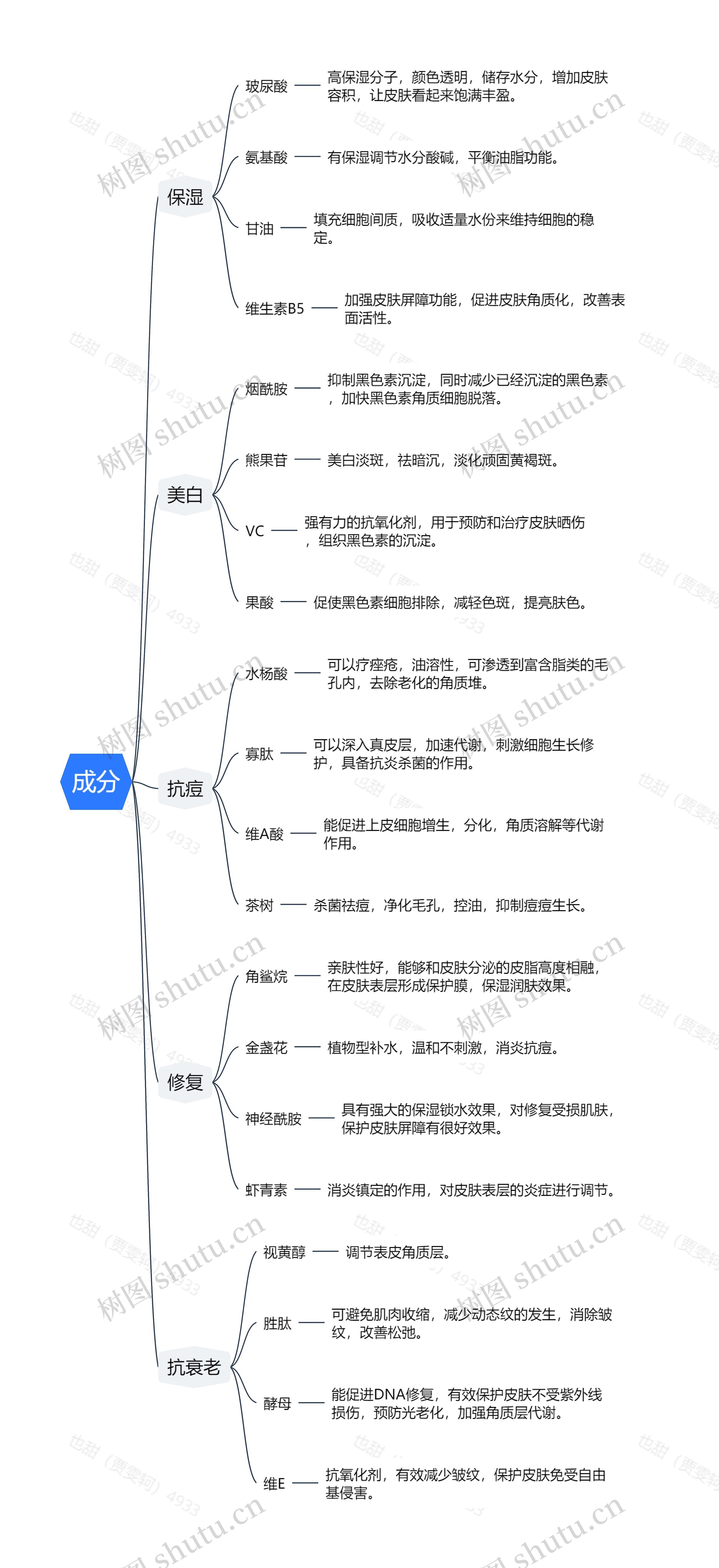 成分思维导图