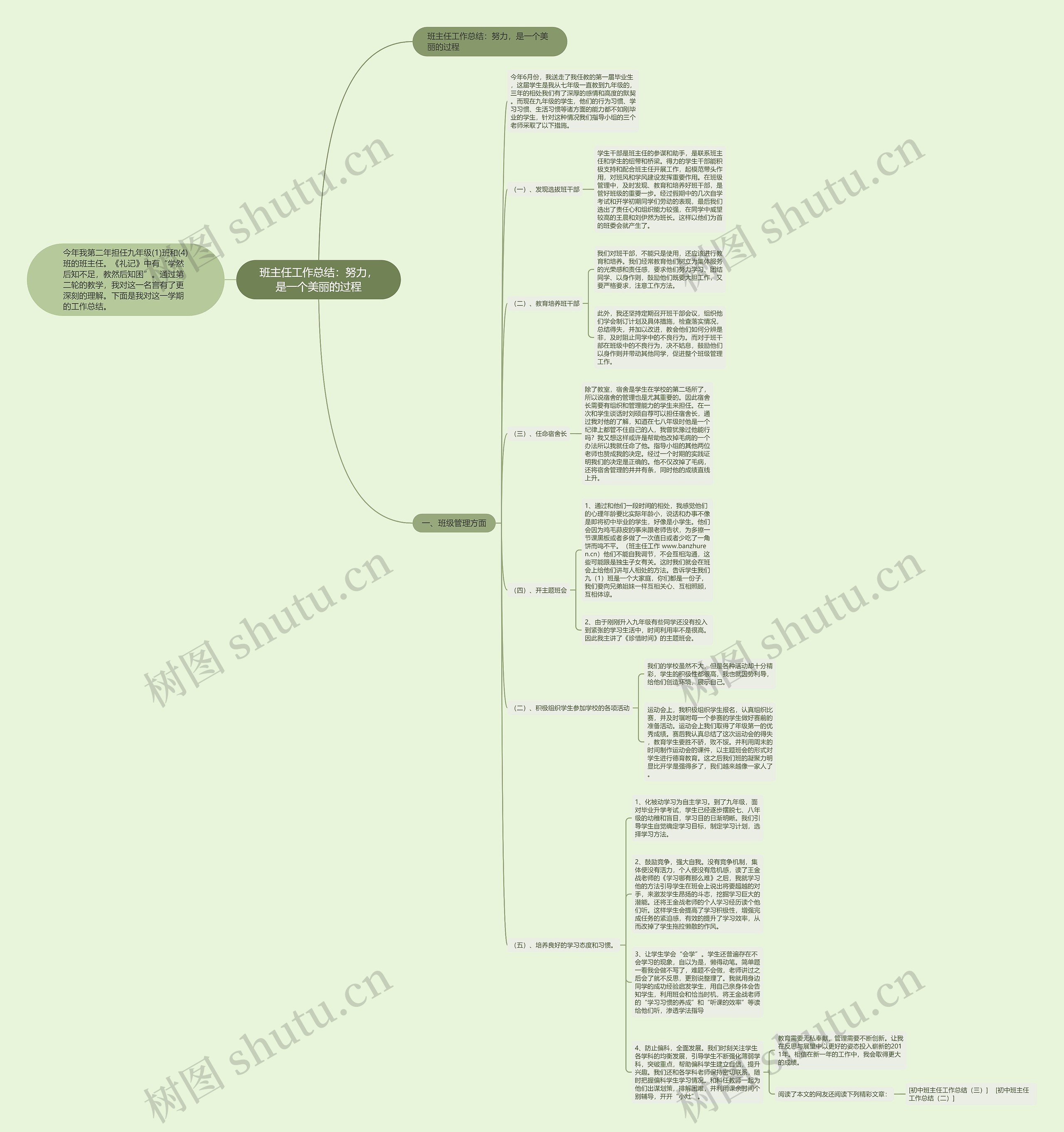 班主任工作总结：努力，是一个美丽的过程思维导图