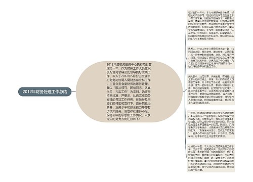 2012年财务处理工作总结