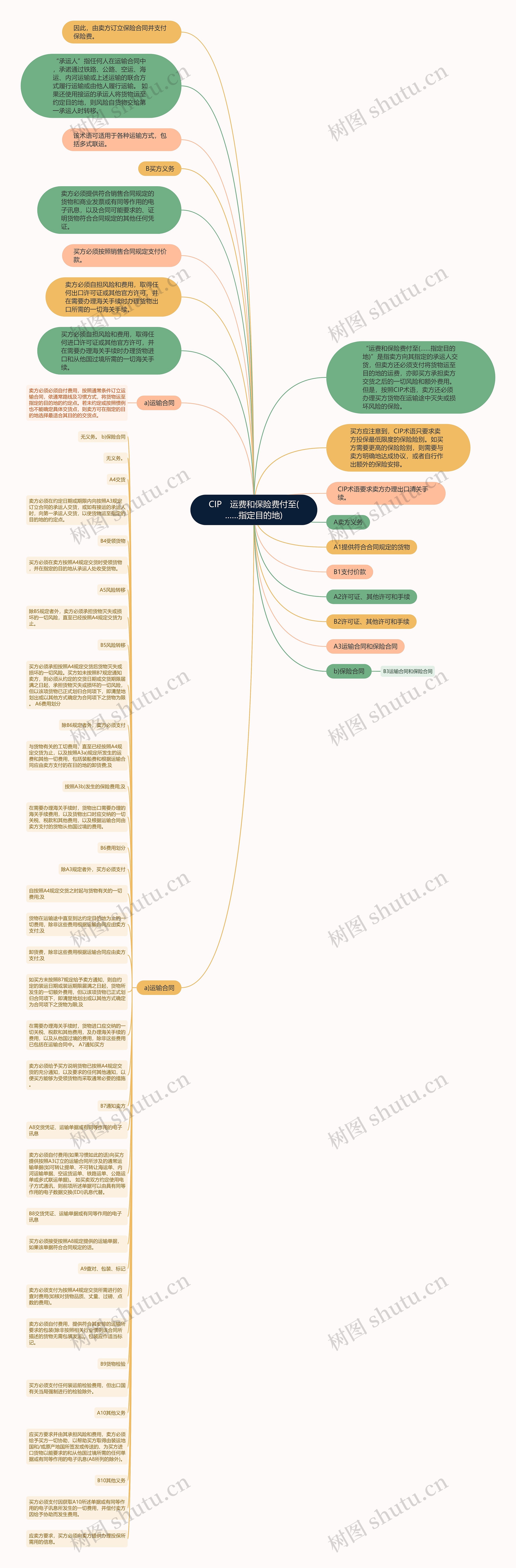 CIP　运费和保险费付至(……指定目的地)思维导图