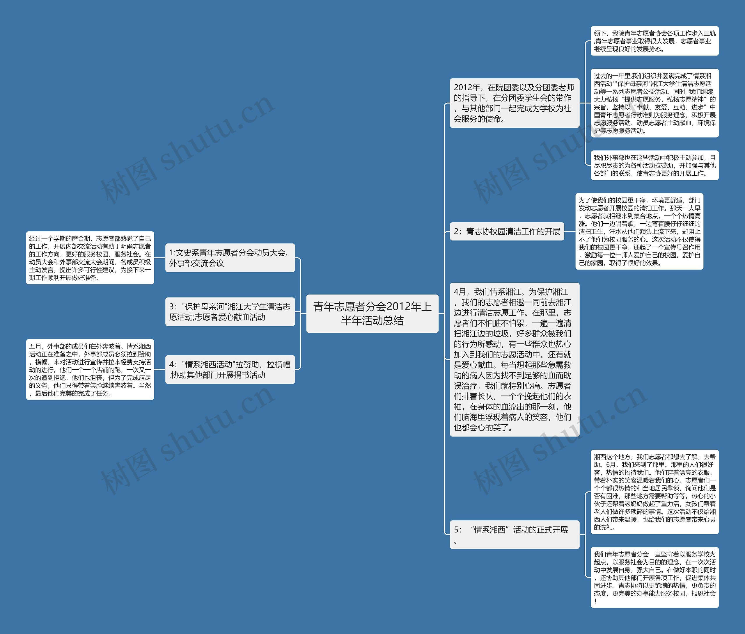 青年志愿者分会2012年上半年活动总结