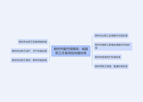 柳州市医疗保障局：城镇职工生育保险待遇标准