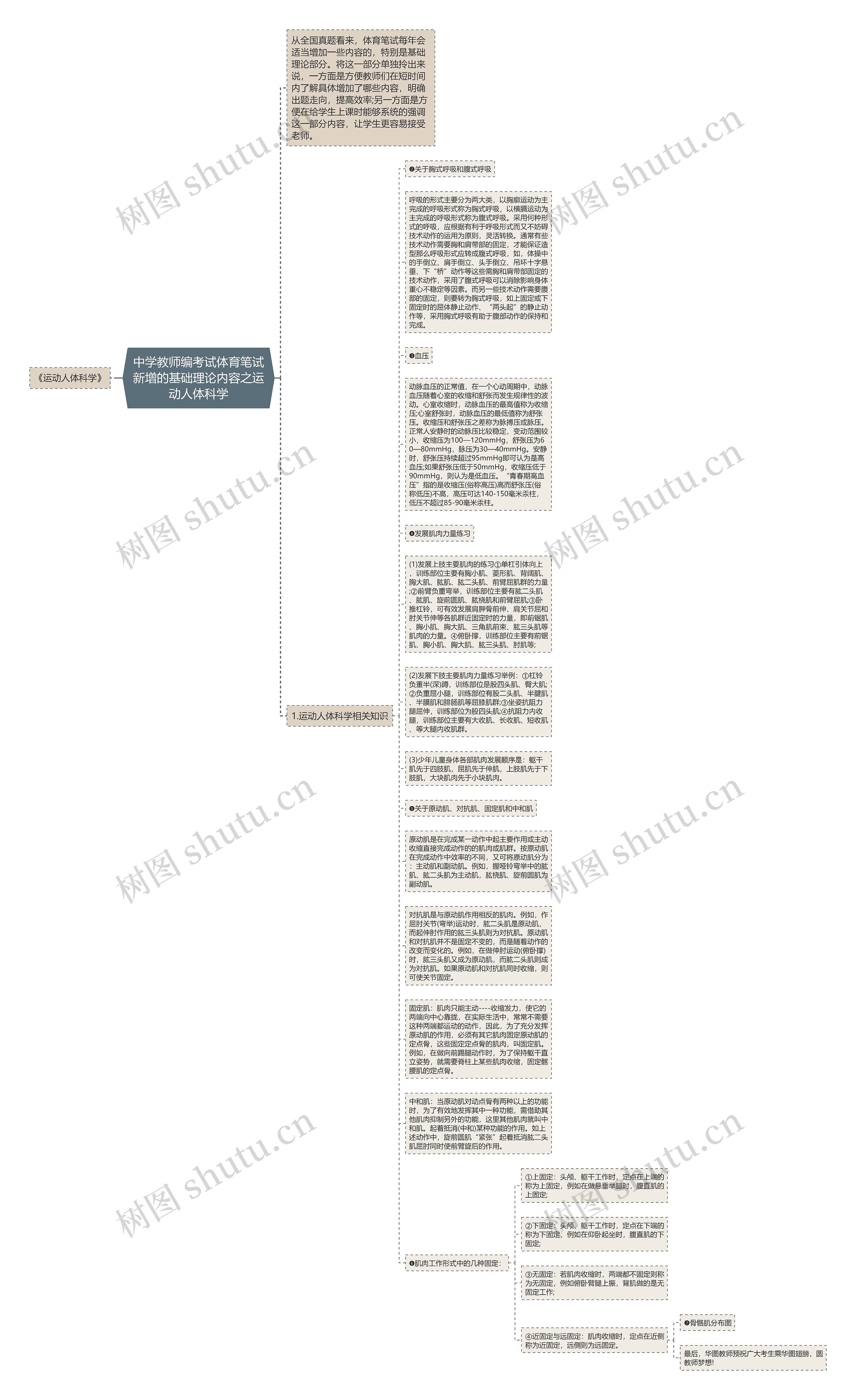 中学教师编考试体育笔试新增的基础理论内容之运动人体科学思维导图