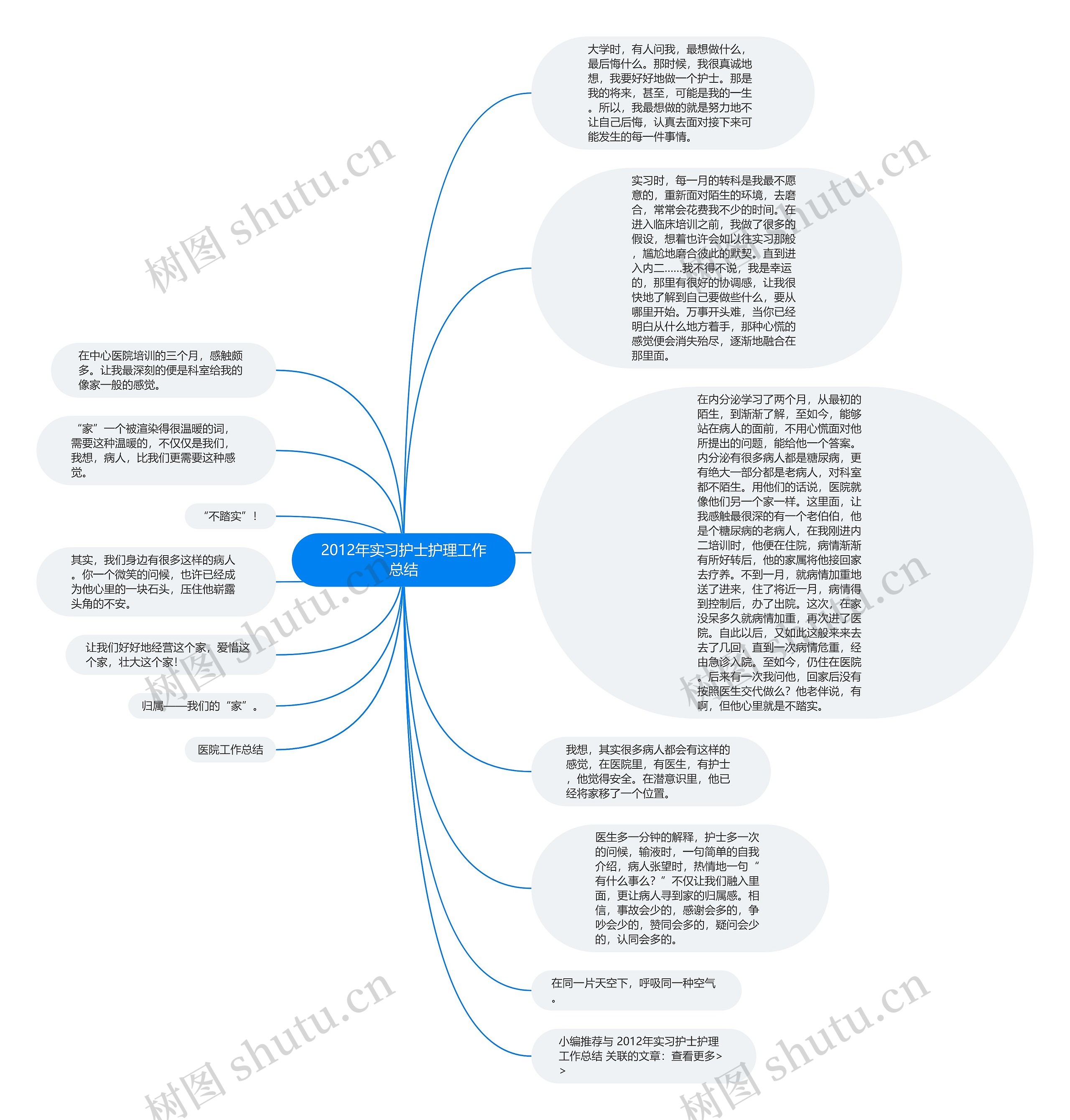 2012年实习护士护理工作总结思维导图