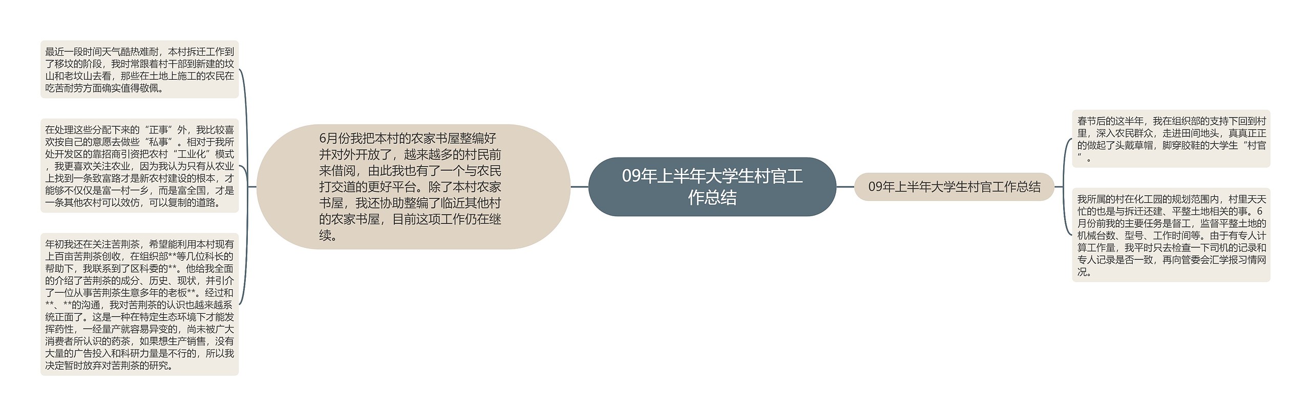 09年上半年大学生村官工作总结