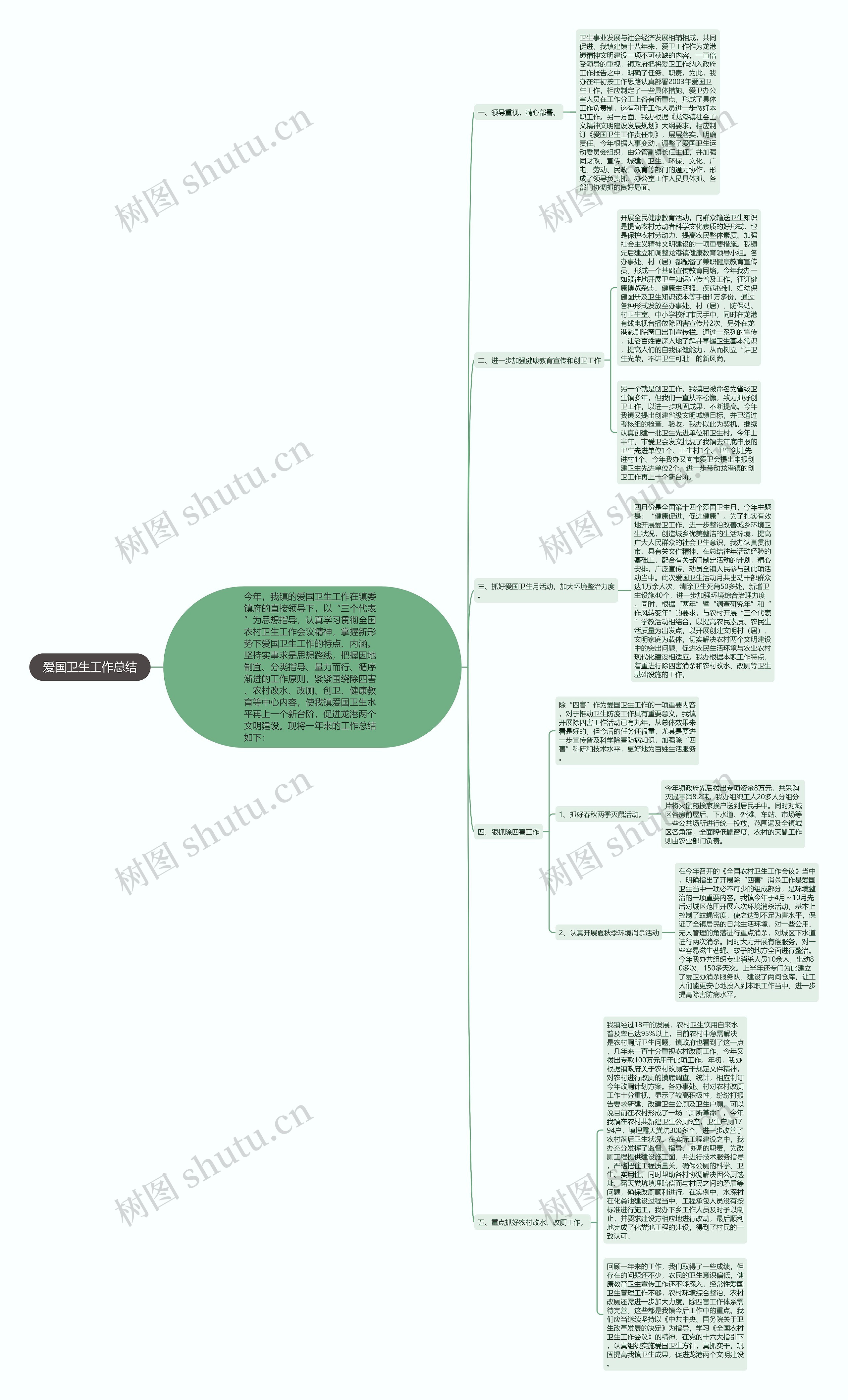 爱国卫生工作总结思维导图