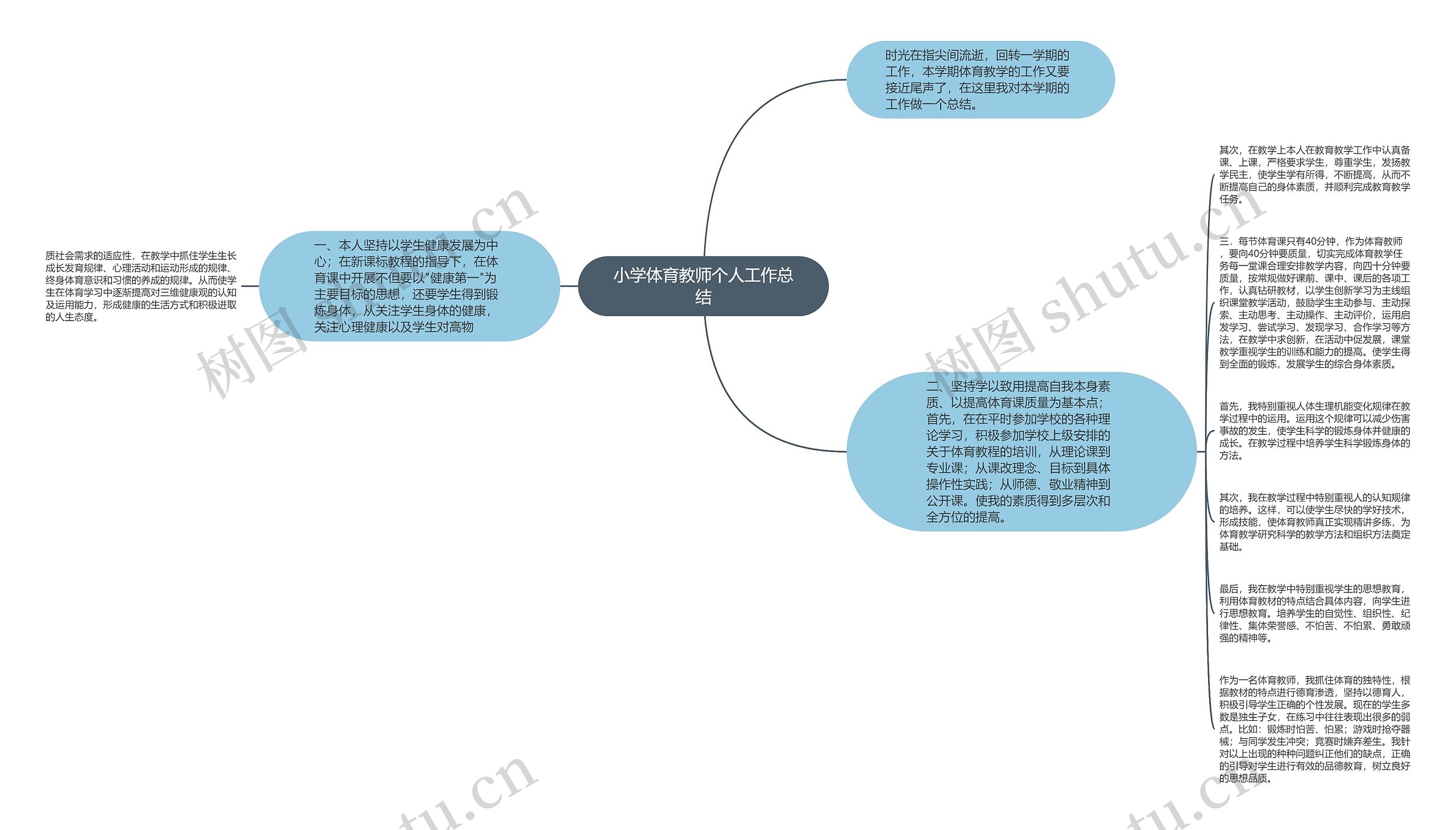 小学体育教师个人工作总结思维导图