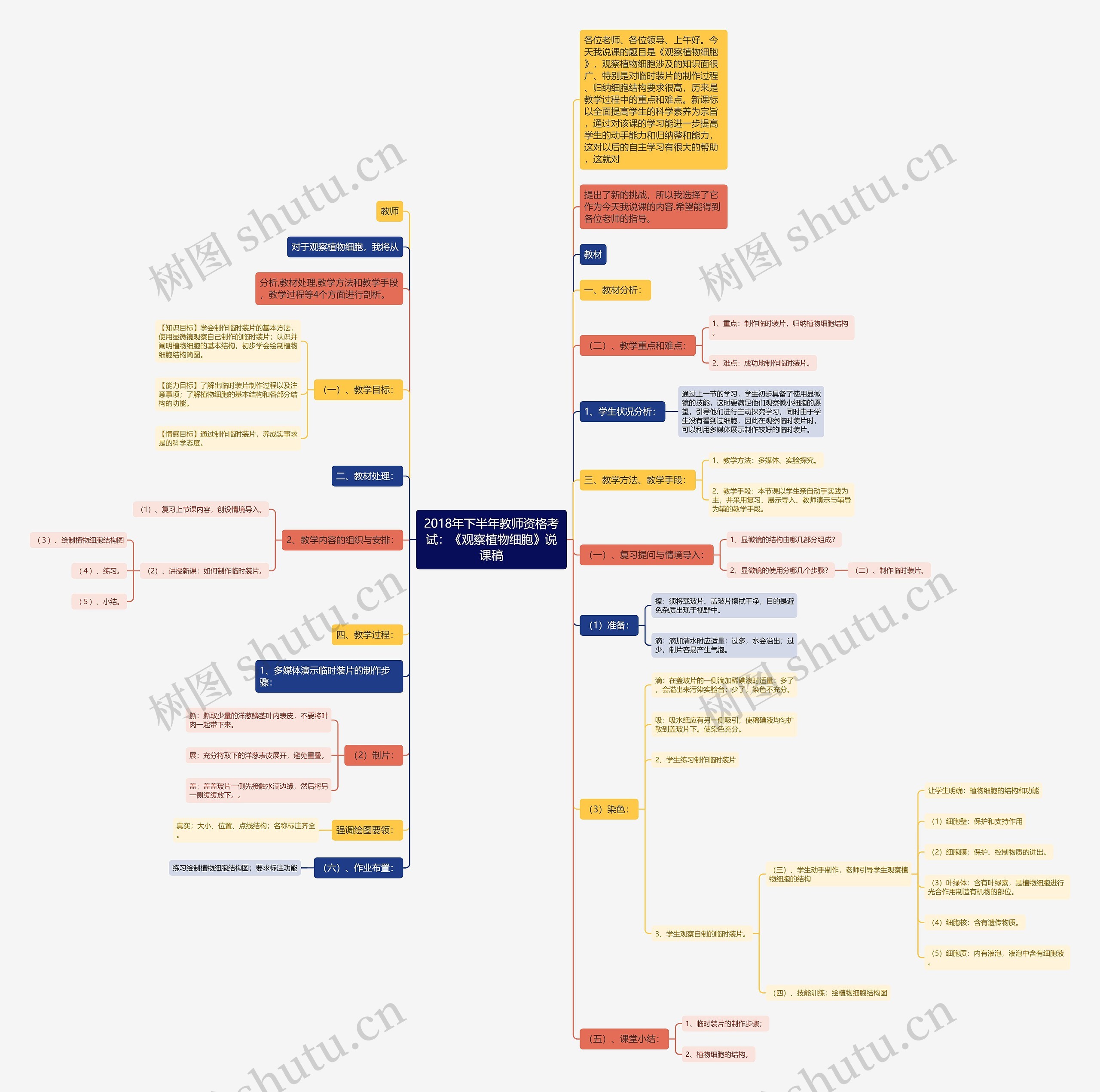 2018年下半年教师资格考试：《观察植物细胞》说课稿思维导图