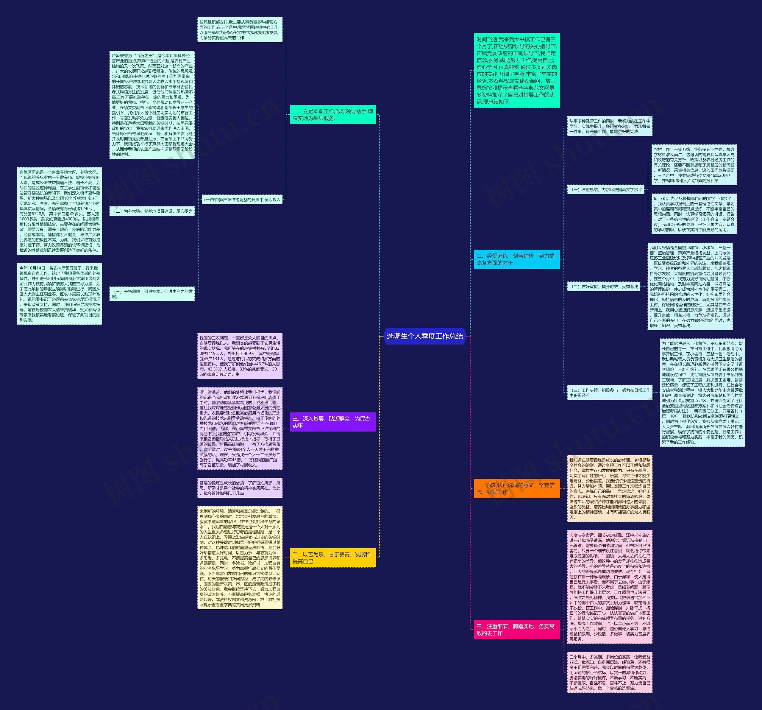 选调生个人季度工作总结思维导图
