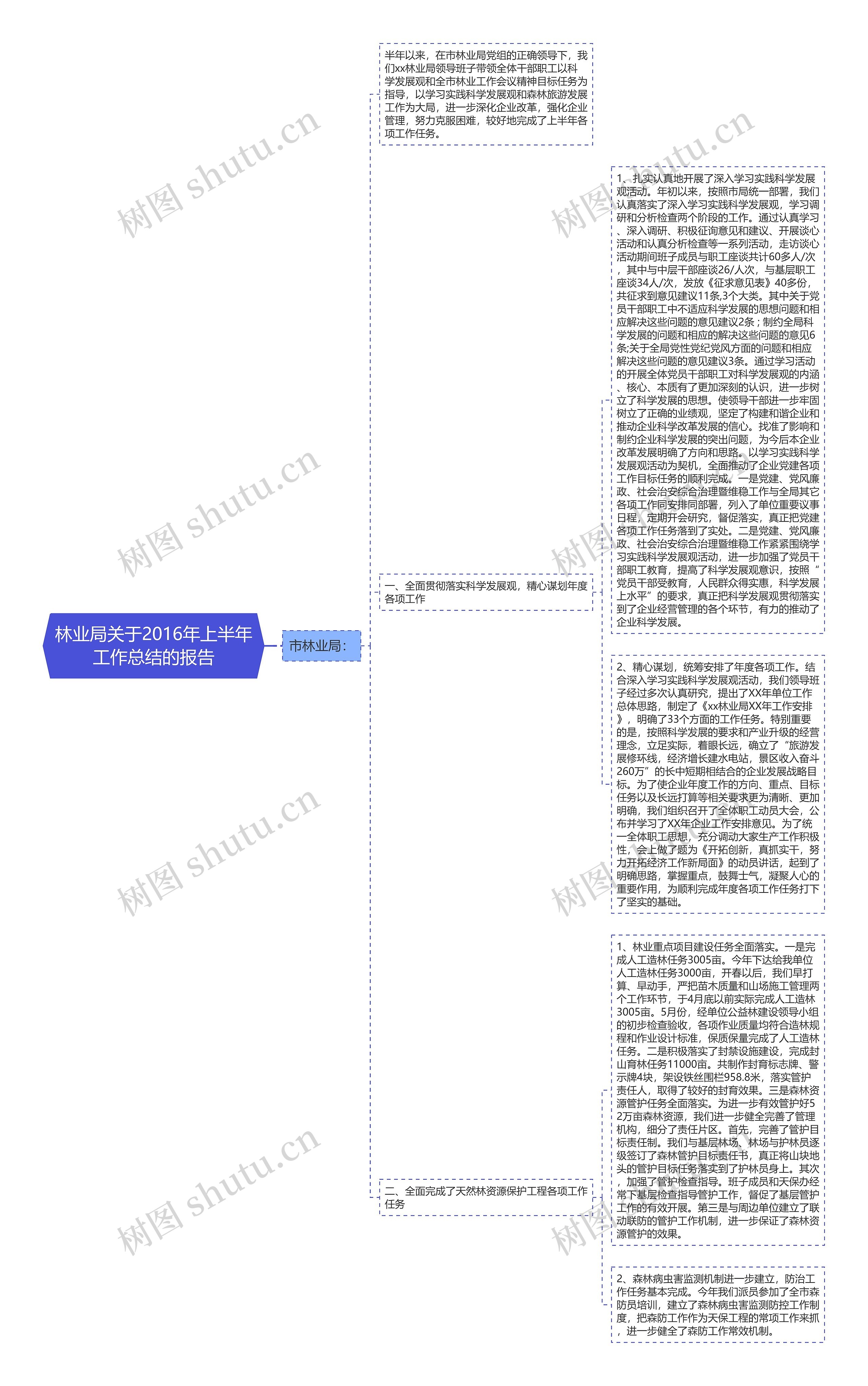 林业局关于2016年上半年工作总结的报告思维导图