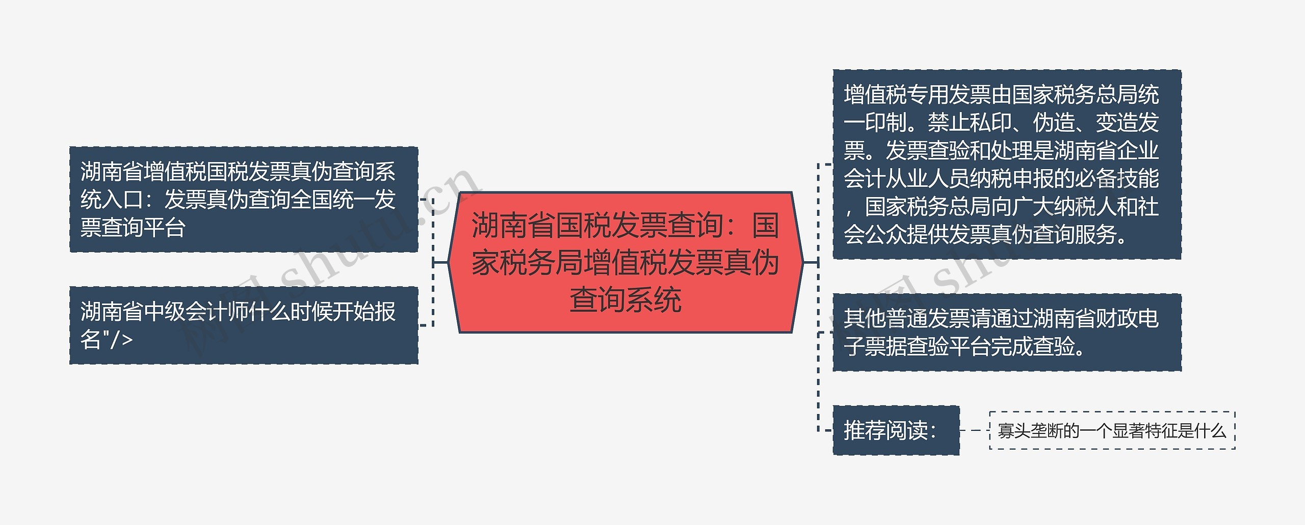 湖南省国税发票查询：国家税务局增值税发票真伪查询系统