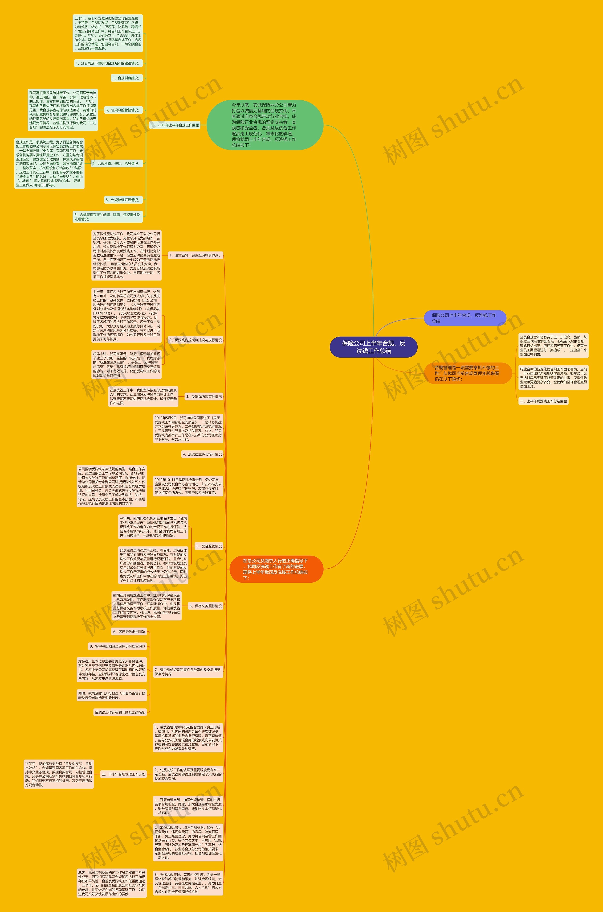 保险公司上半年合规、反洗钱工作总结思维导图