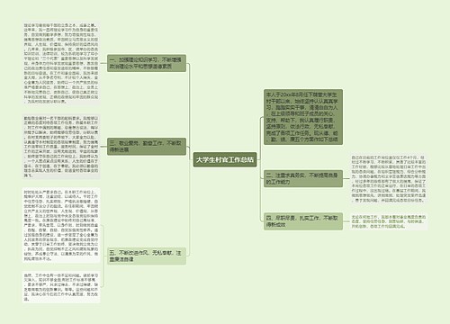 大学生村官工作总结