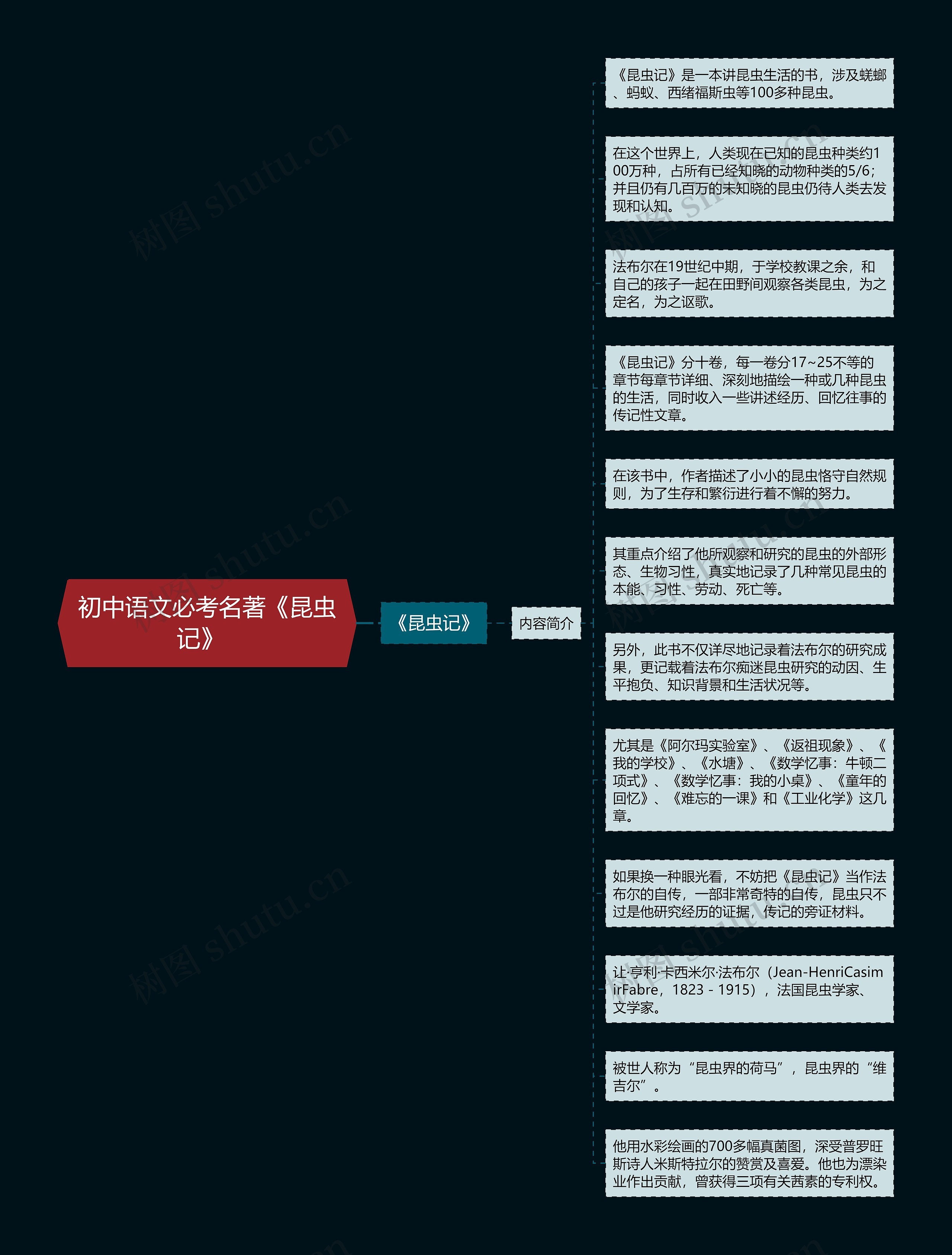 初中语文必考名著《昆虫记》  