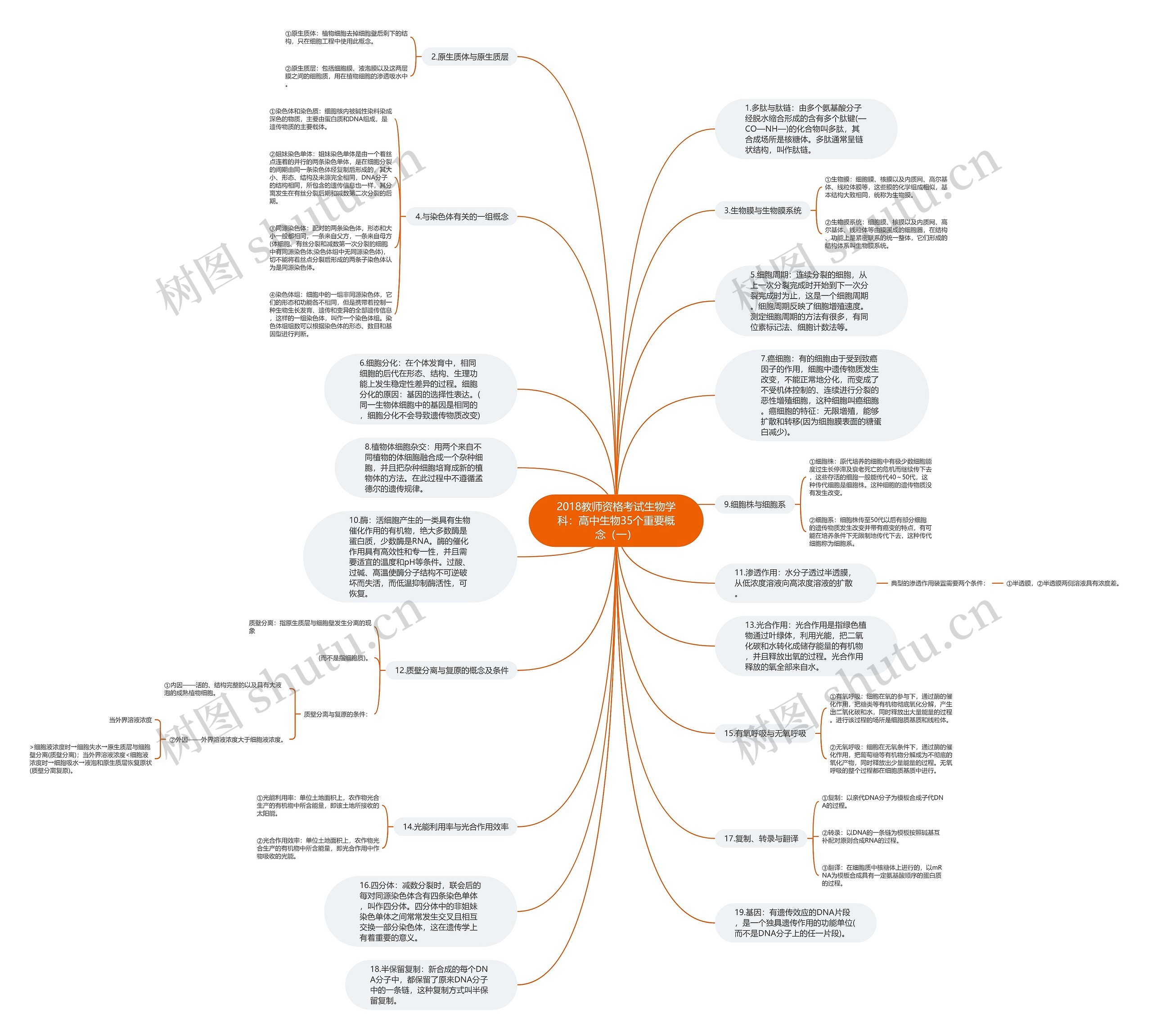2018教师资格考试生物学科：高中生物35个重要概念（一）思维导图