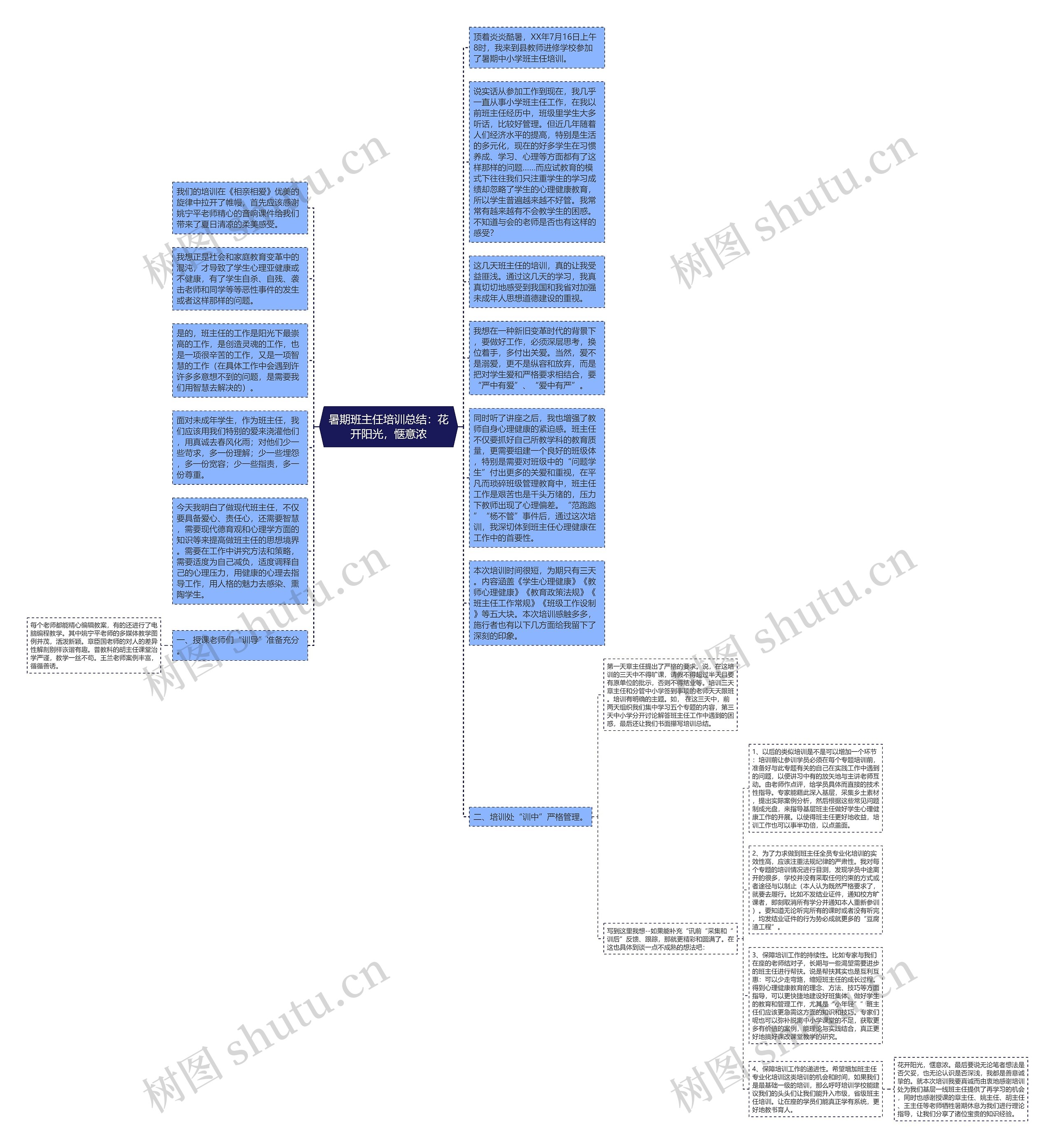 暑期班主任培训总结：花开阳光，惬意浓思维导图