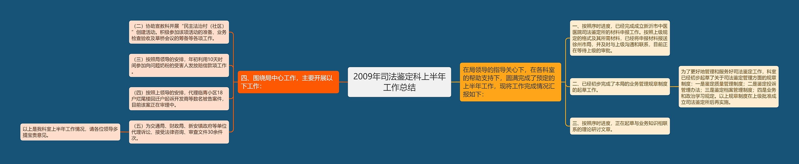 2009年司法鉴定科上半年工作总结思维导图