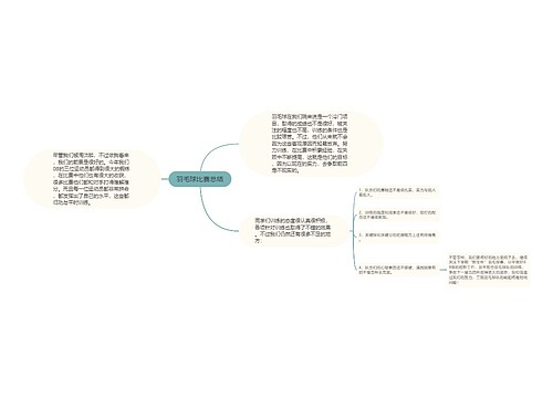 羽毛球比赛总结