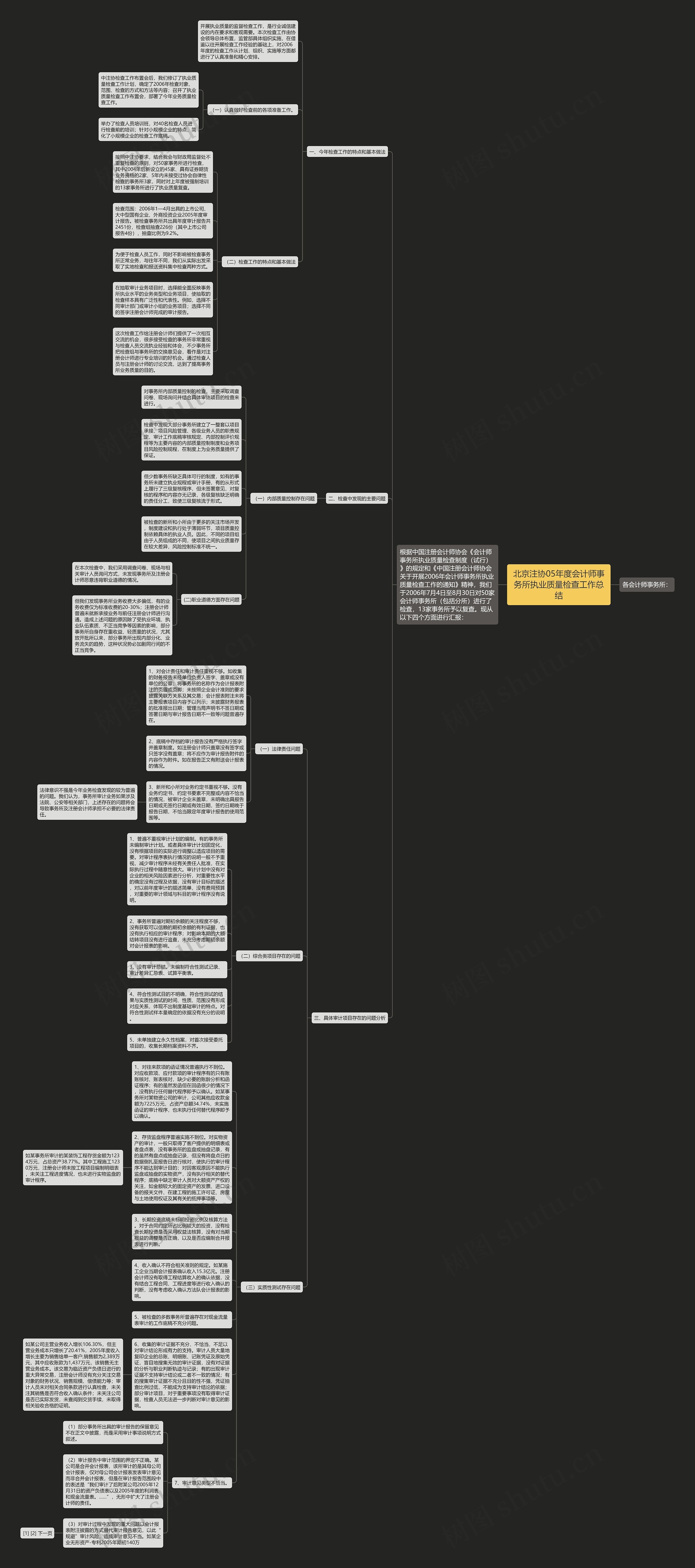 北京注协05年度会计师事务所执业质量检查工作总结思维导图