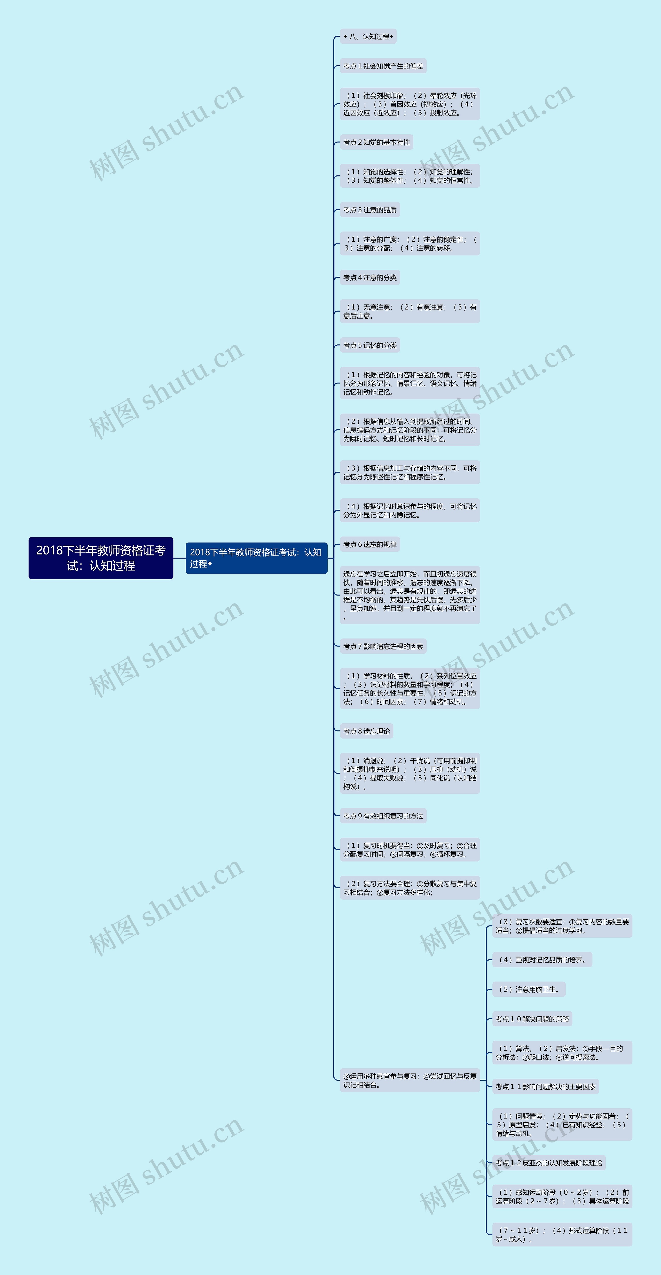 2018下半年教师资格证考试：认知过程