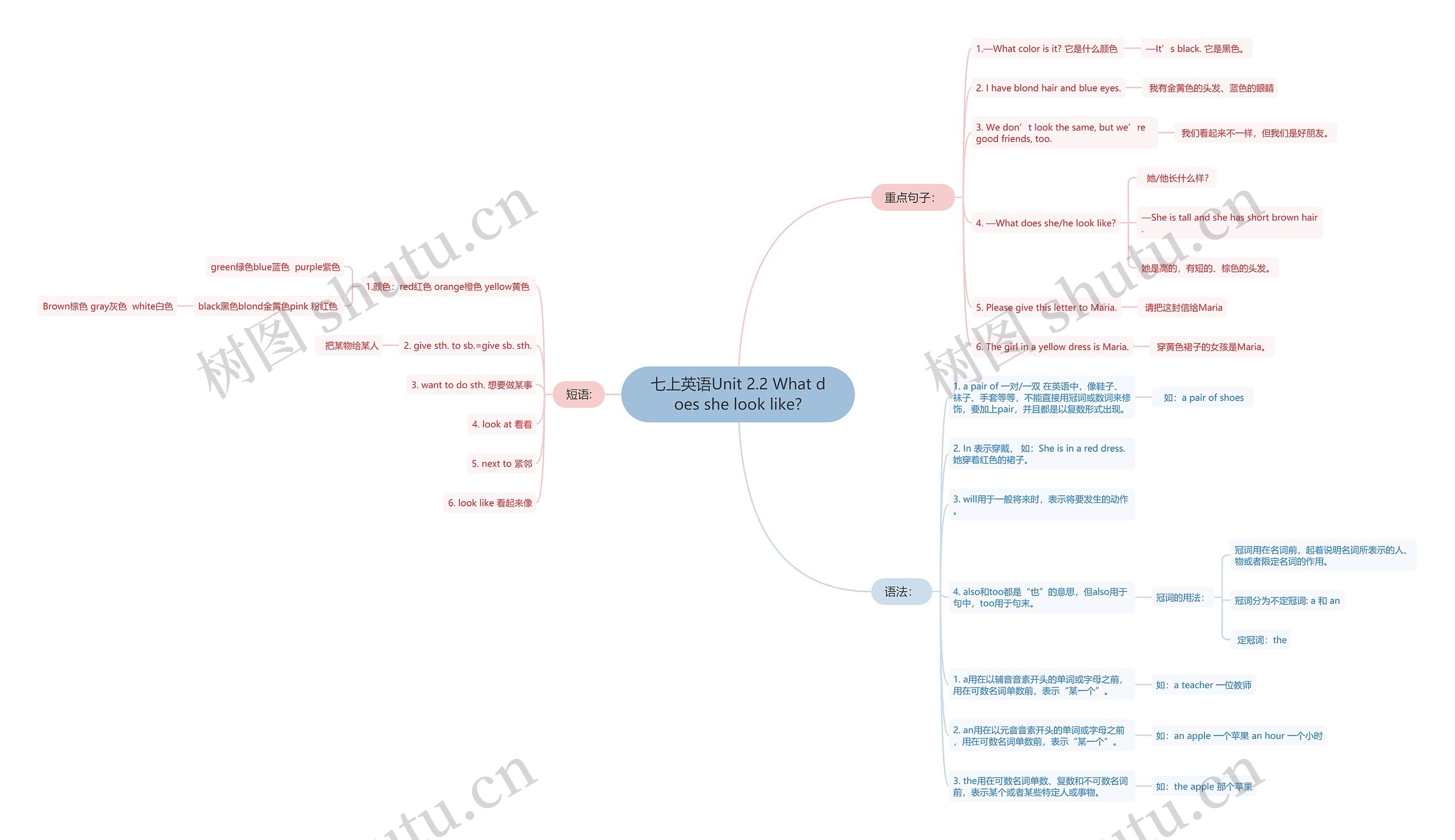 七上英语Unit 2.2 What does she look like?思维导图